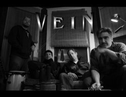 VEIN Performing Friday Night