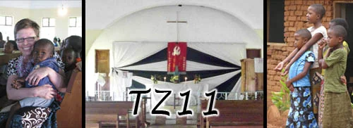TZ11 webpage header.jpg