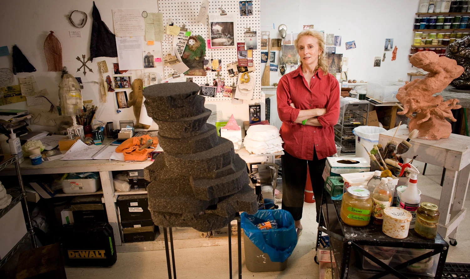 Artist-Arlene Schechet__Photo-Chris Sanders_0778.jpg