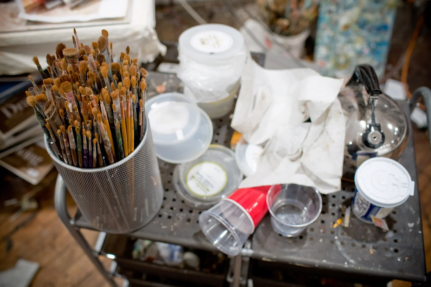 Artist-Ellen Altfest__Photo-Chris Sanders_06312.jpg