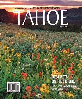 cover_BOT12.jpg