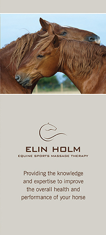 EH Equine Massage 9x12trifold_cover.jpg