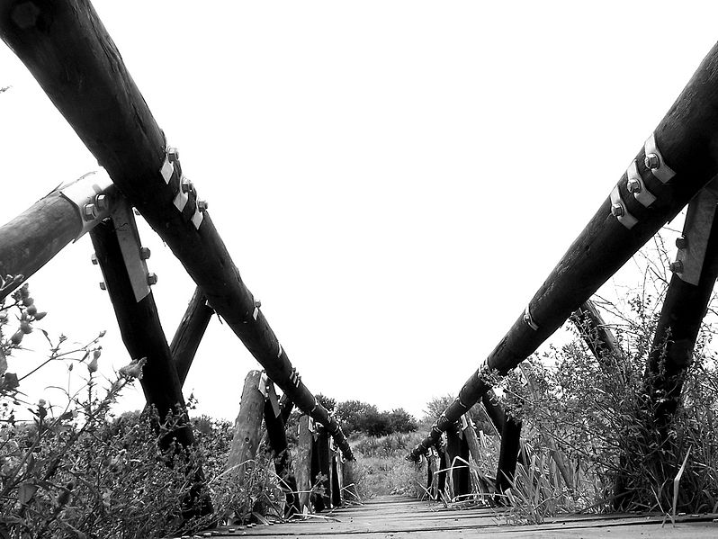 Bridging_the_Gap_(3209523100)
