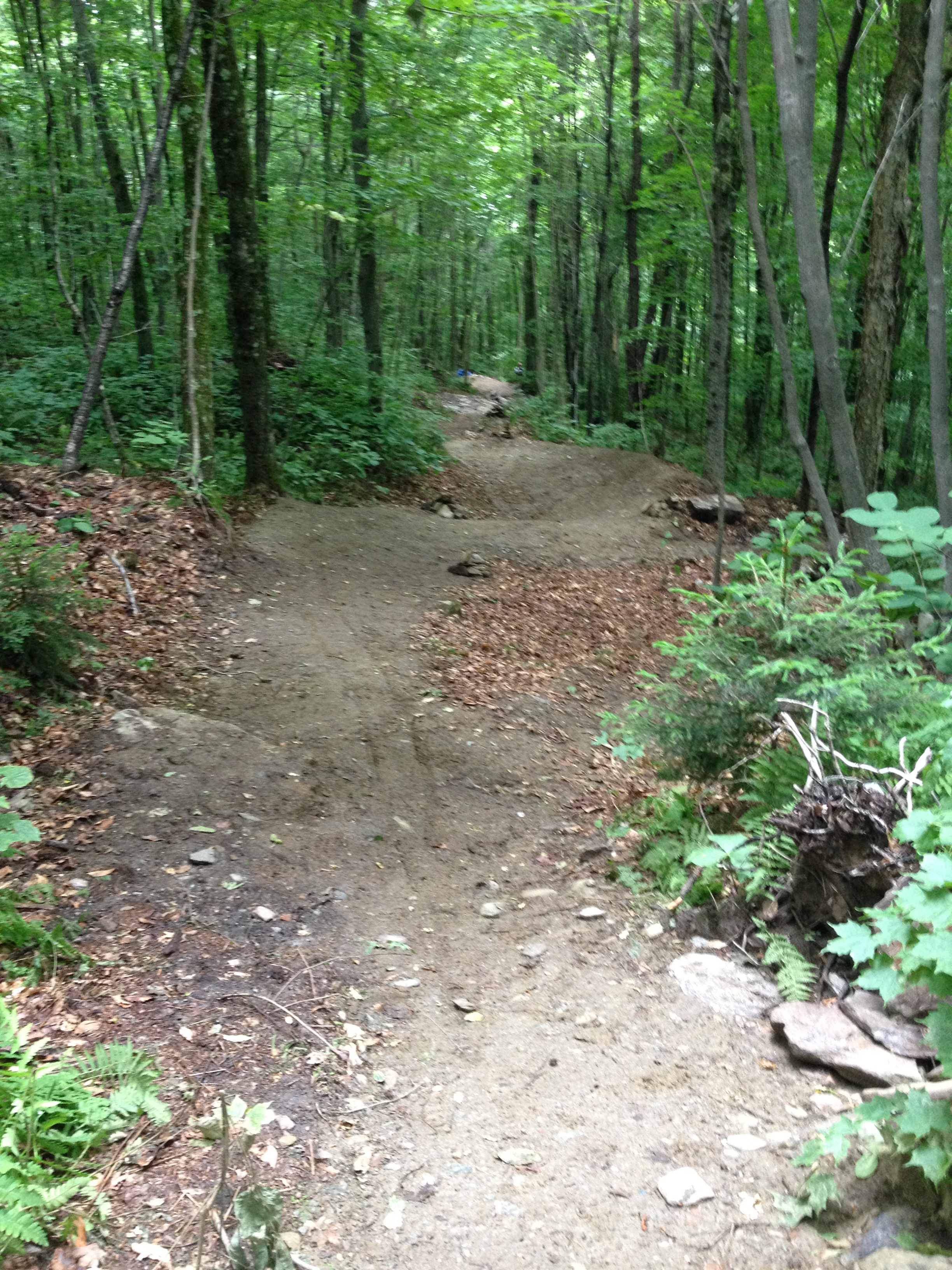  Chain Gang mountain bike trail berms and drainage in Camel's Hump State Park. 