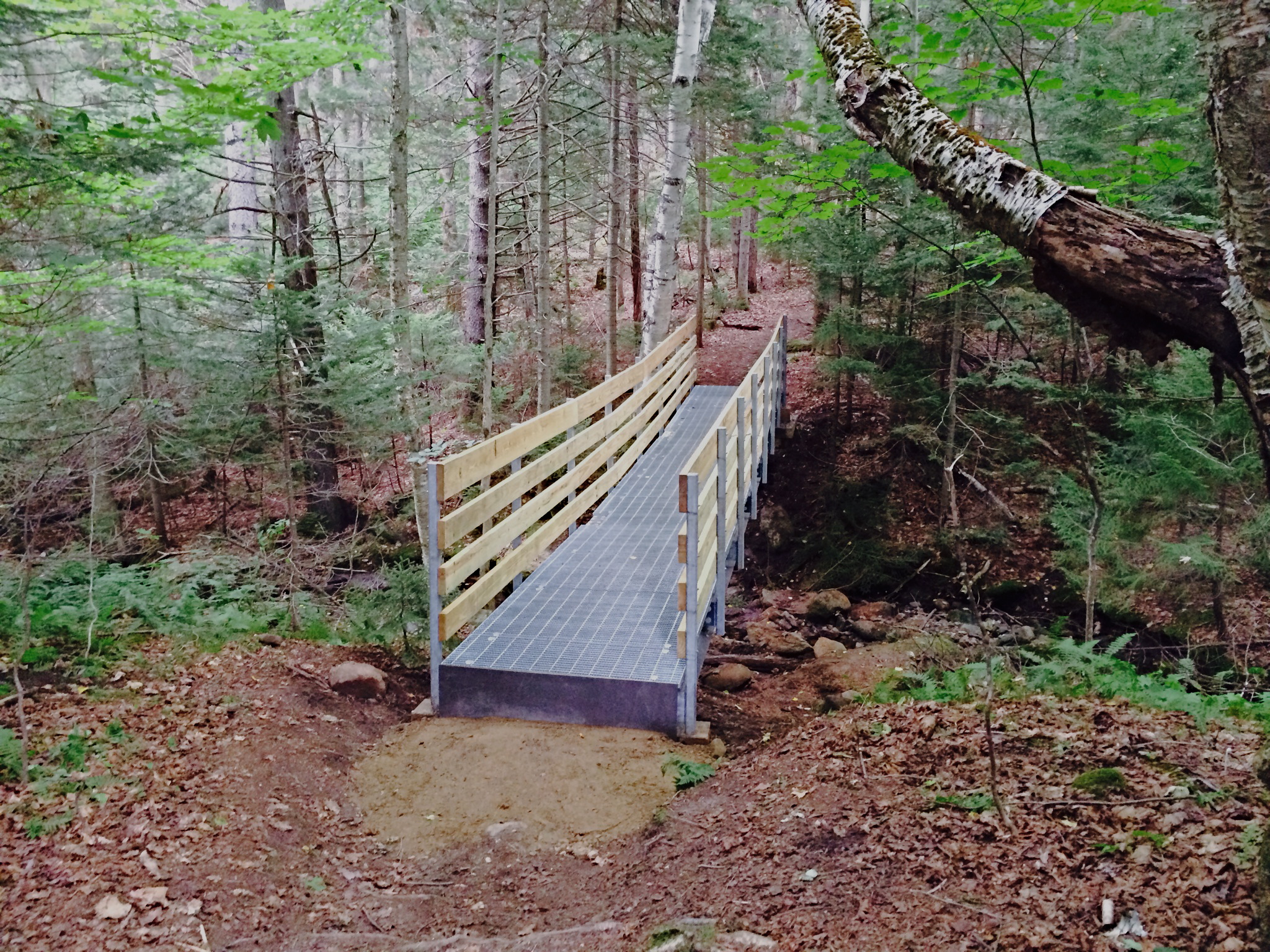  35ft steel bridge on Mount Olga trail in Molly Stark State Park, Vermont. 