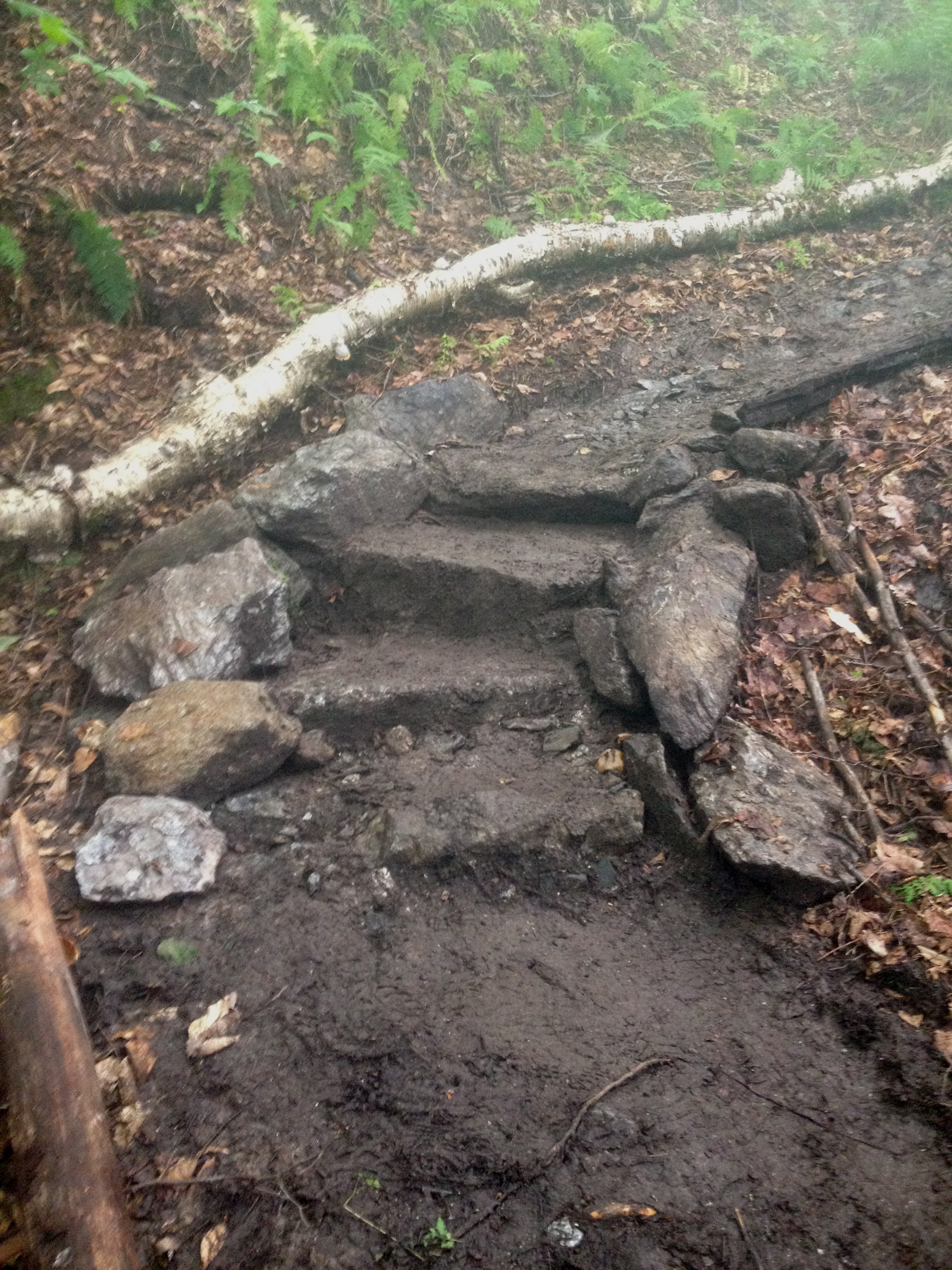  Stone stairs on the White Rock trail on Hunger Mountain in Vermont. 