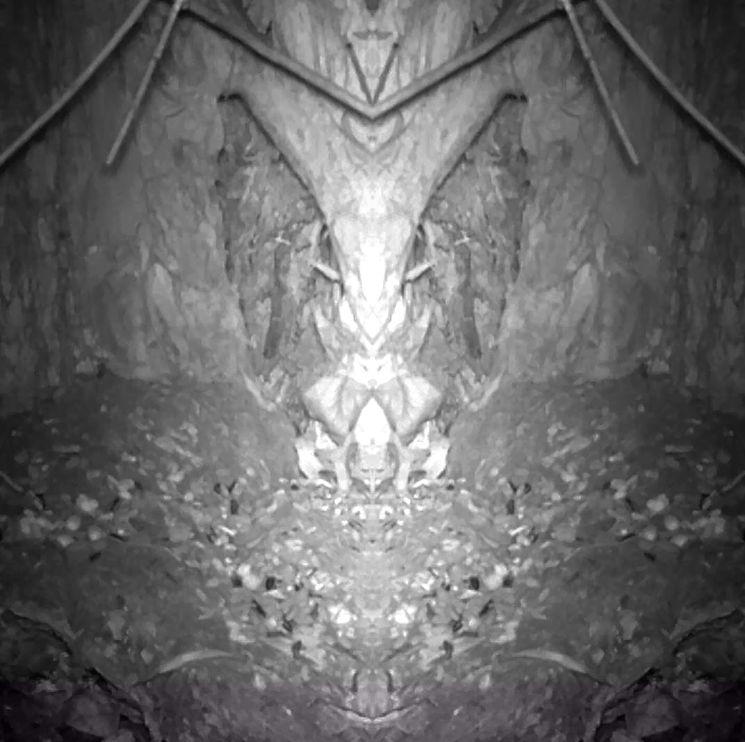 souris-masque.gif