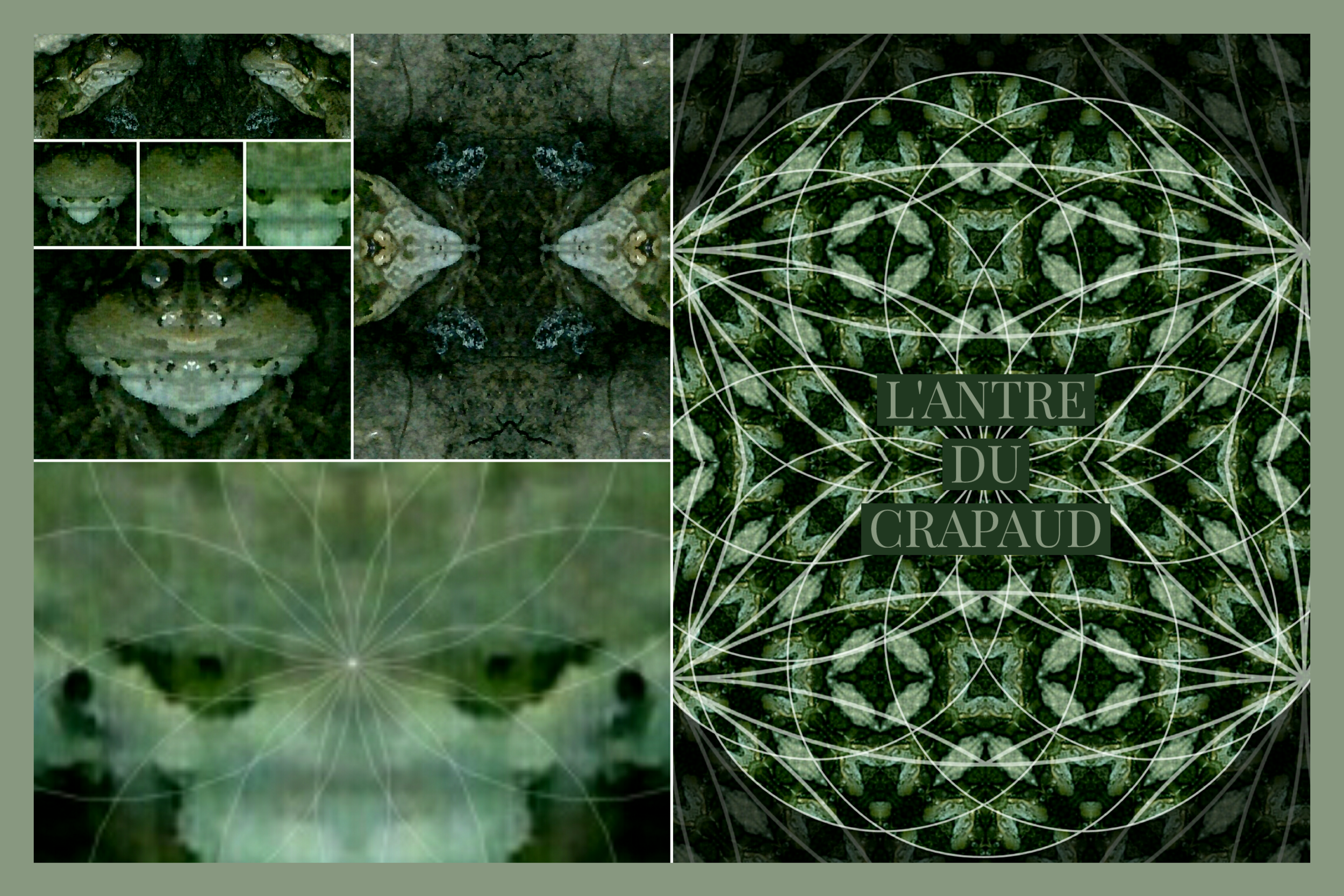 Adobe_Post_20191002_1220170.3121156454952654.png