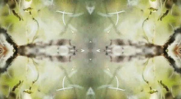 ezgif.com-video-to-gif.gif