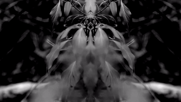 CERNUNNOS.gif
