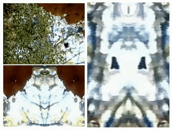 gif02.gif
