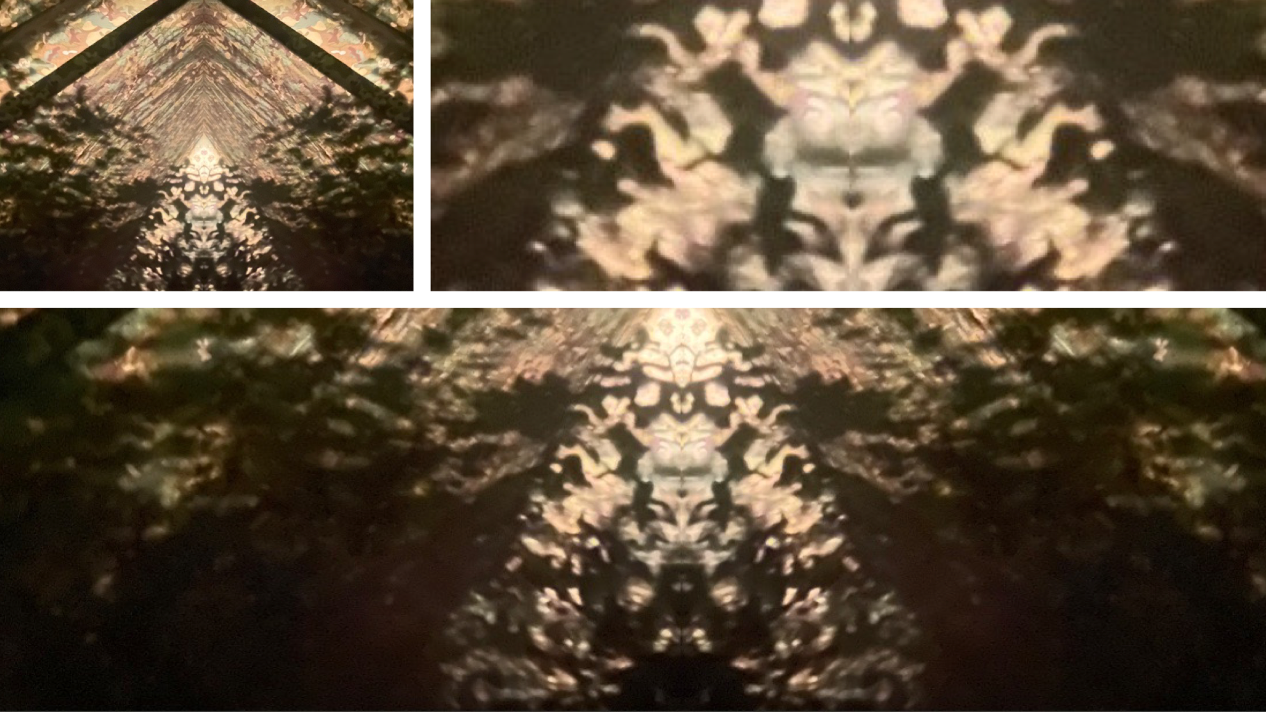494DC1FD-BE01-4E12-82AA-97DFC9AC6B0A.png