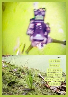 IMG_5069.jpeg