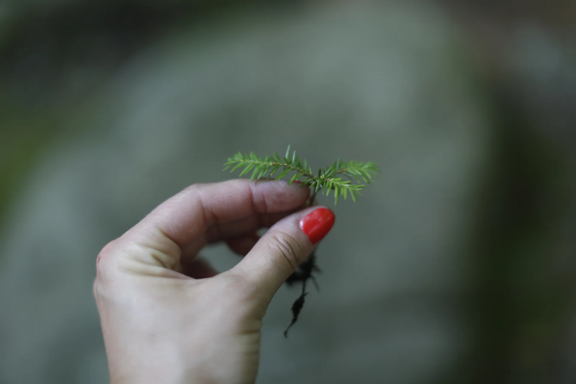  Sent from mel's walkie talkie. 
