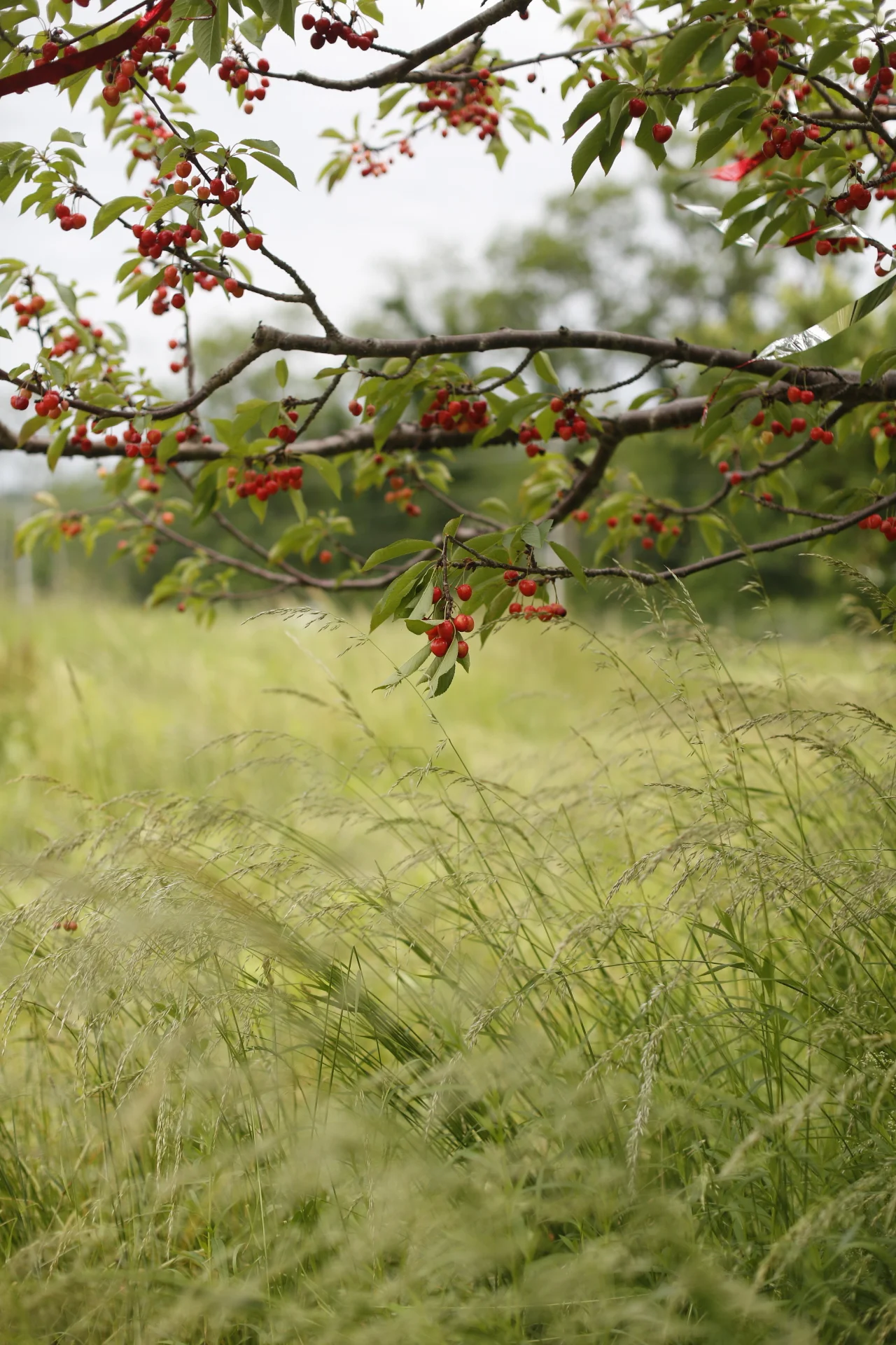  Sent from mel's walkie talkie. 
