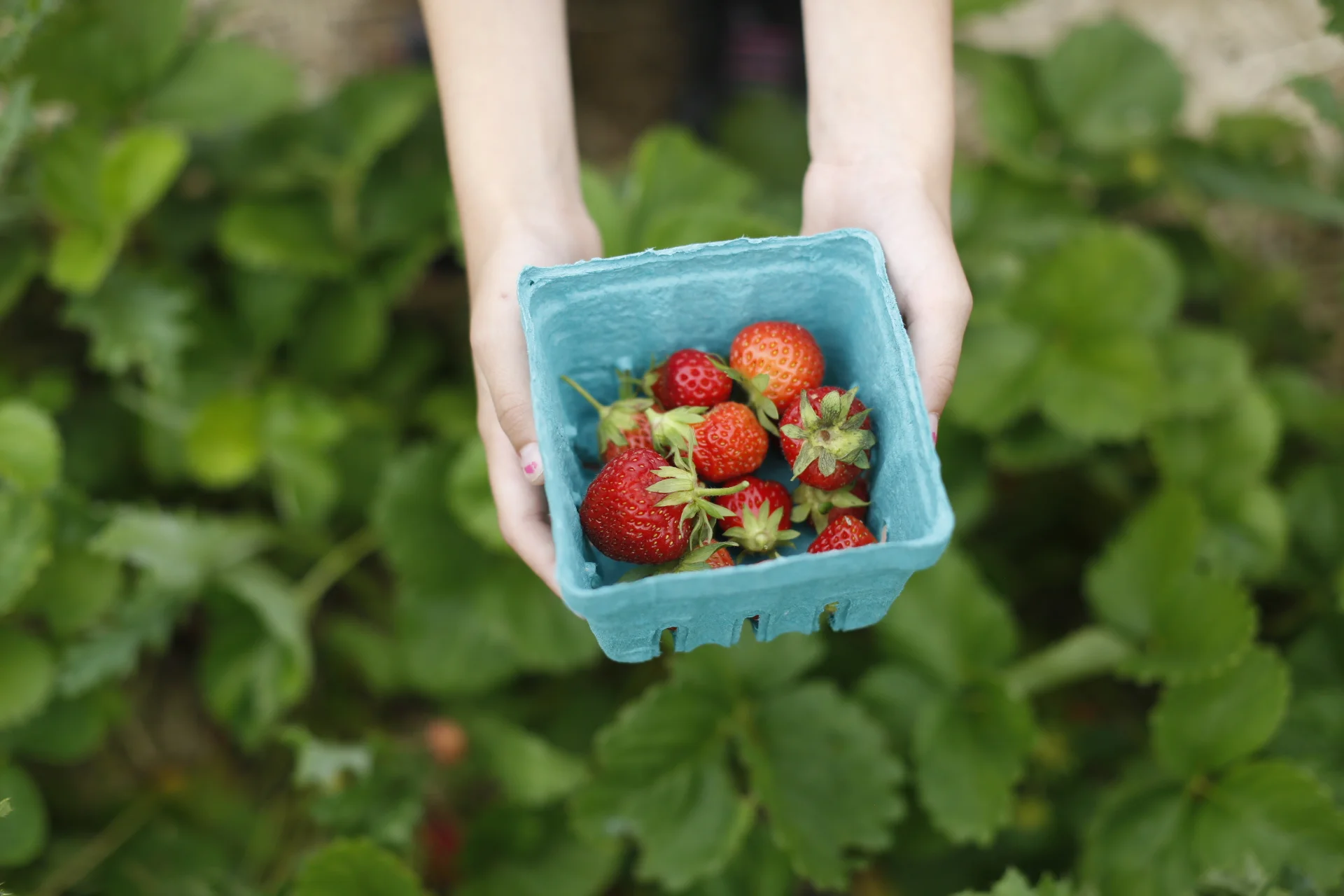  Sent from mel's walkie talkie. 
