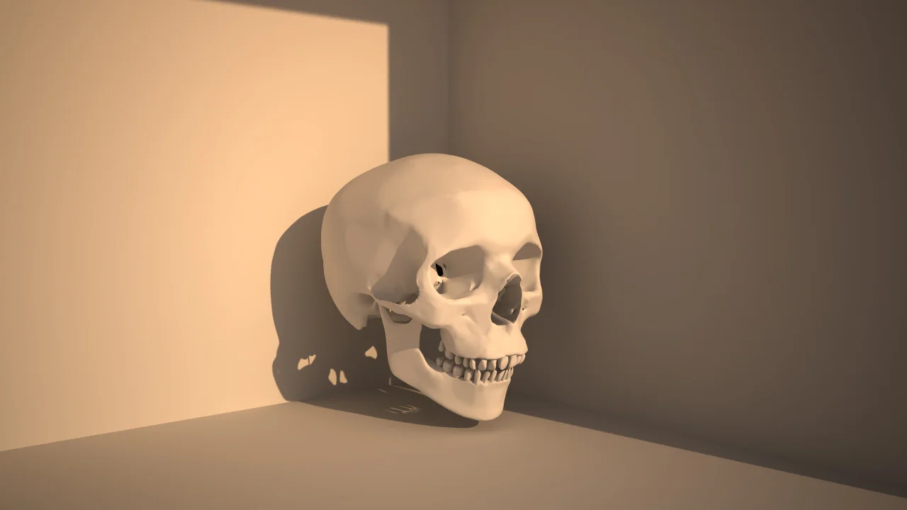 skull2.jpg