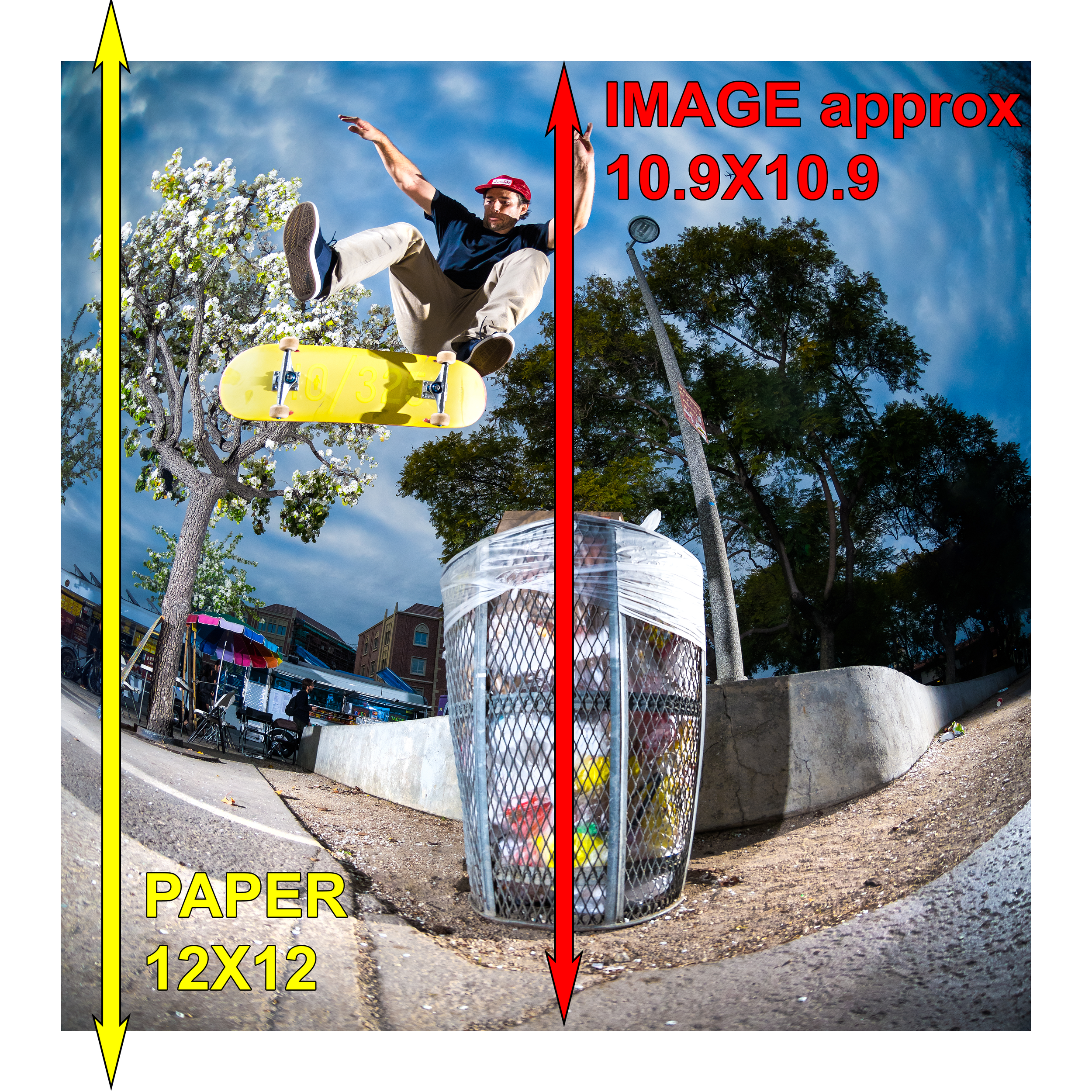 Mike_Carroll_heelflip_USC_12x12 dimensions.png
