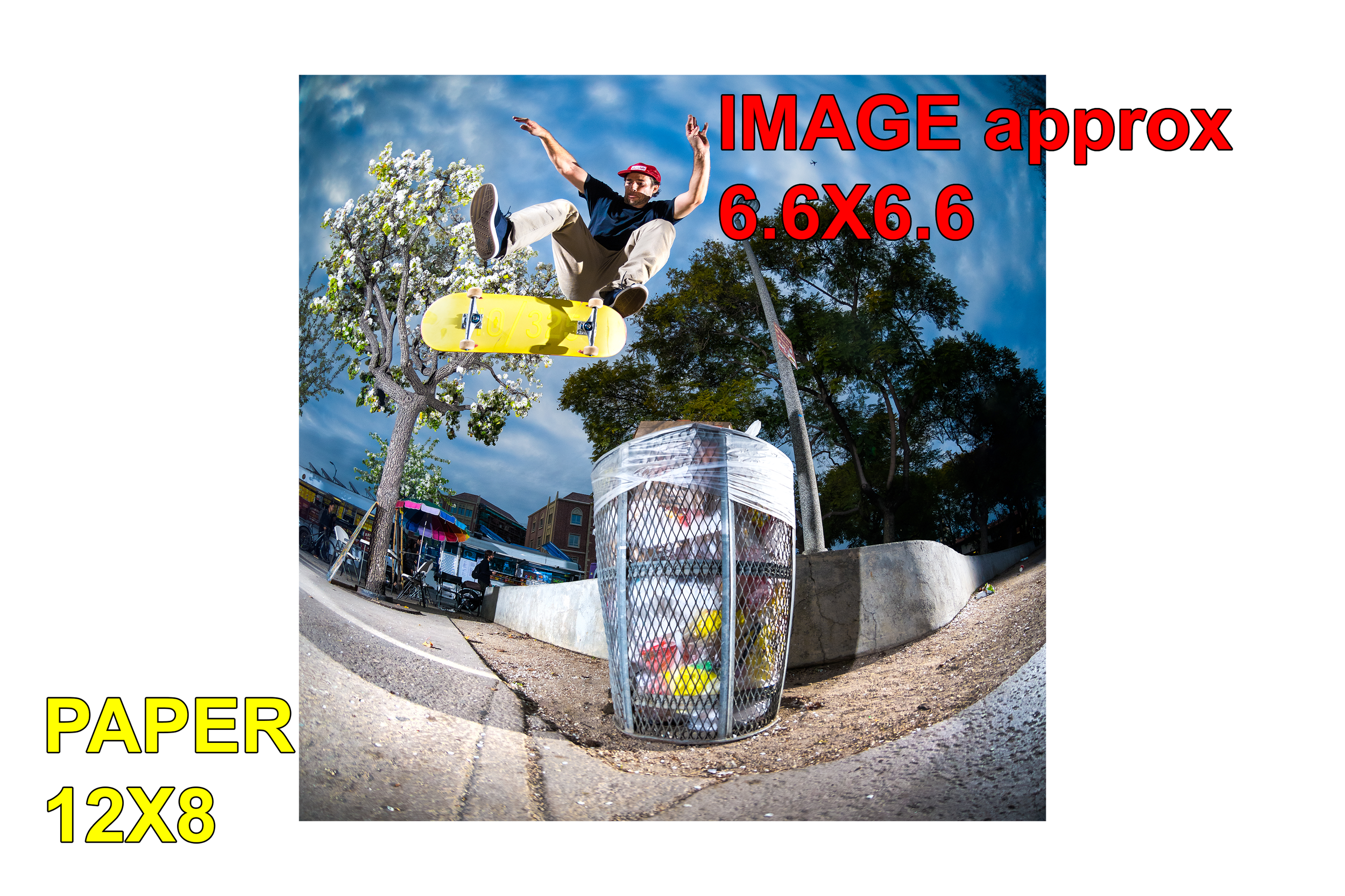 Mike_Carroll_heelflip_USC_8x12dimensions.png