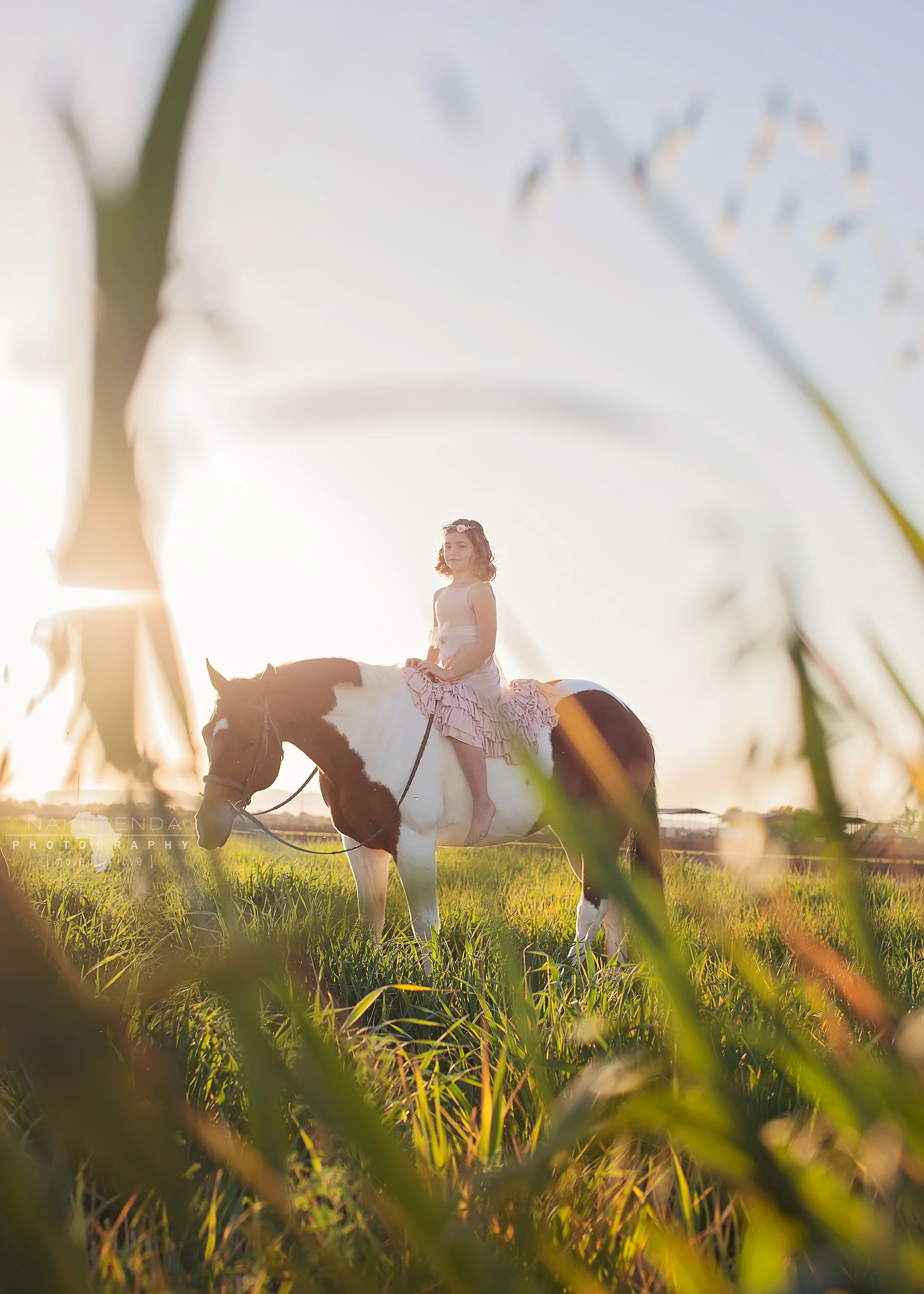 Grace//Ponies &amp; Pearls//Arizona Child Photographer