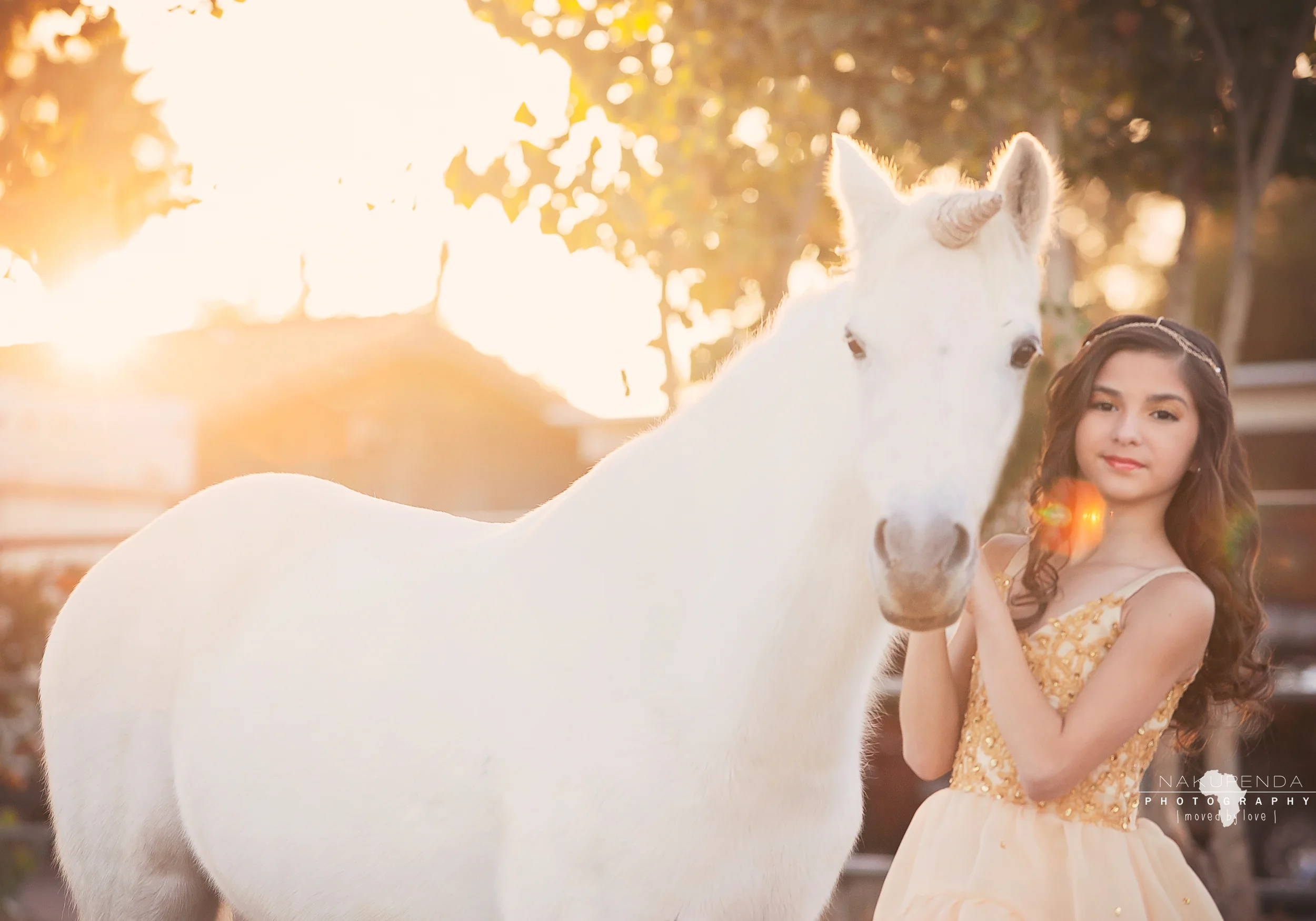 Golden MJ//Unicorn Dreams//Arizona child and equine photographer