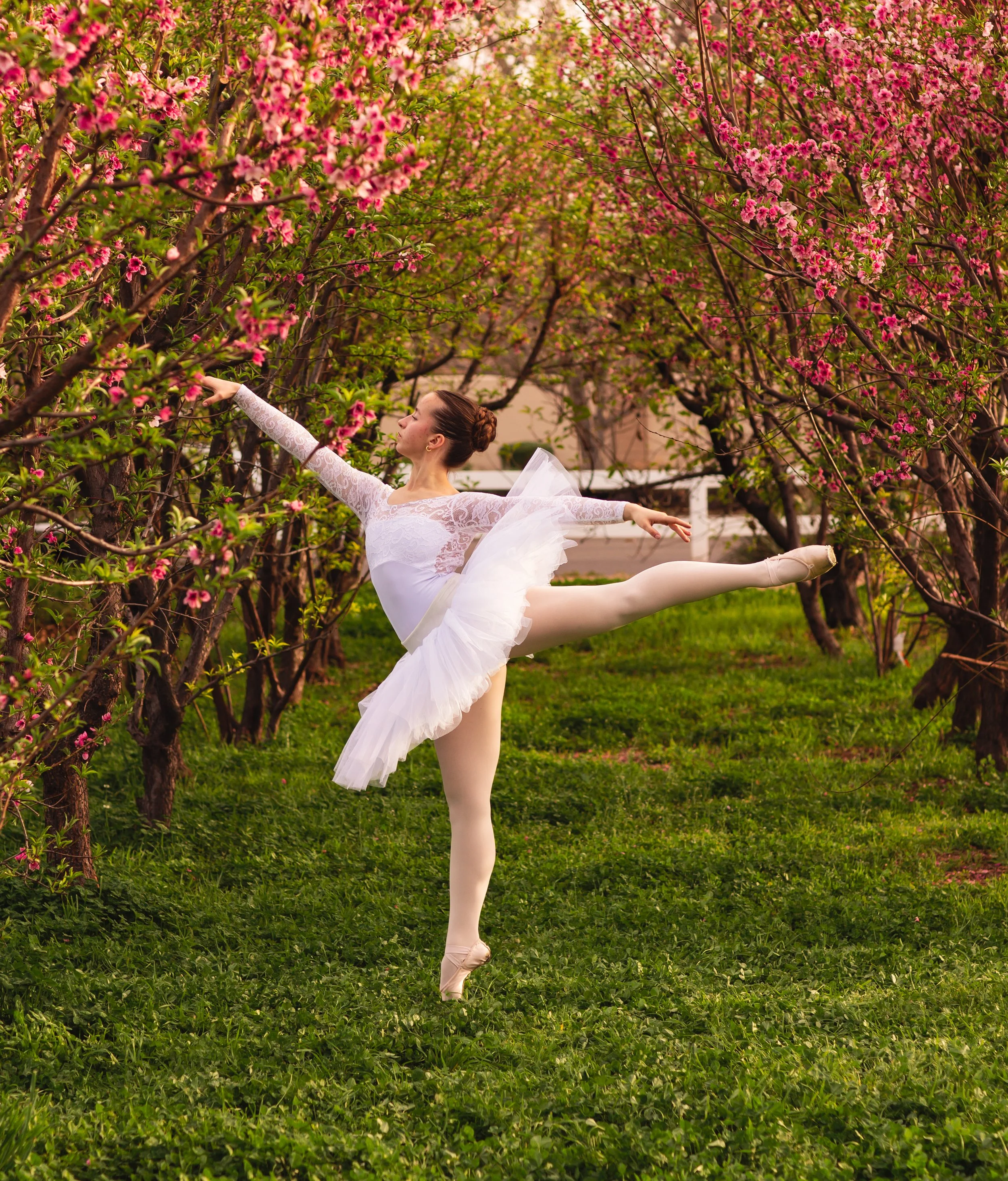 Dancing in the Peach Blossoms//Arizona Child Photographer