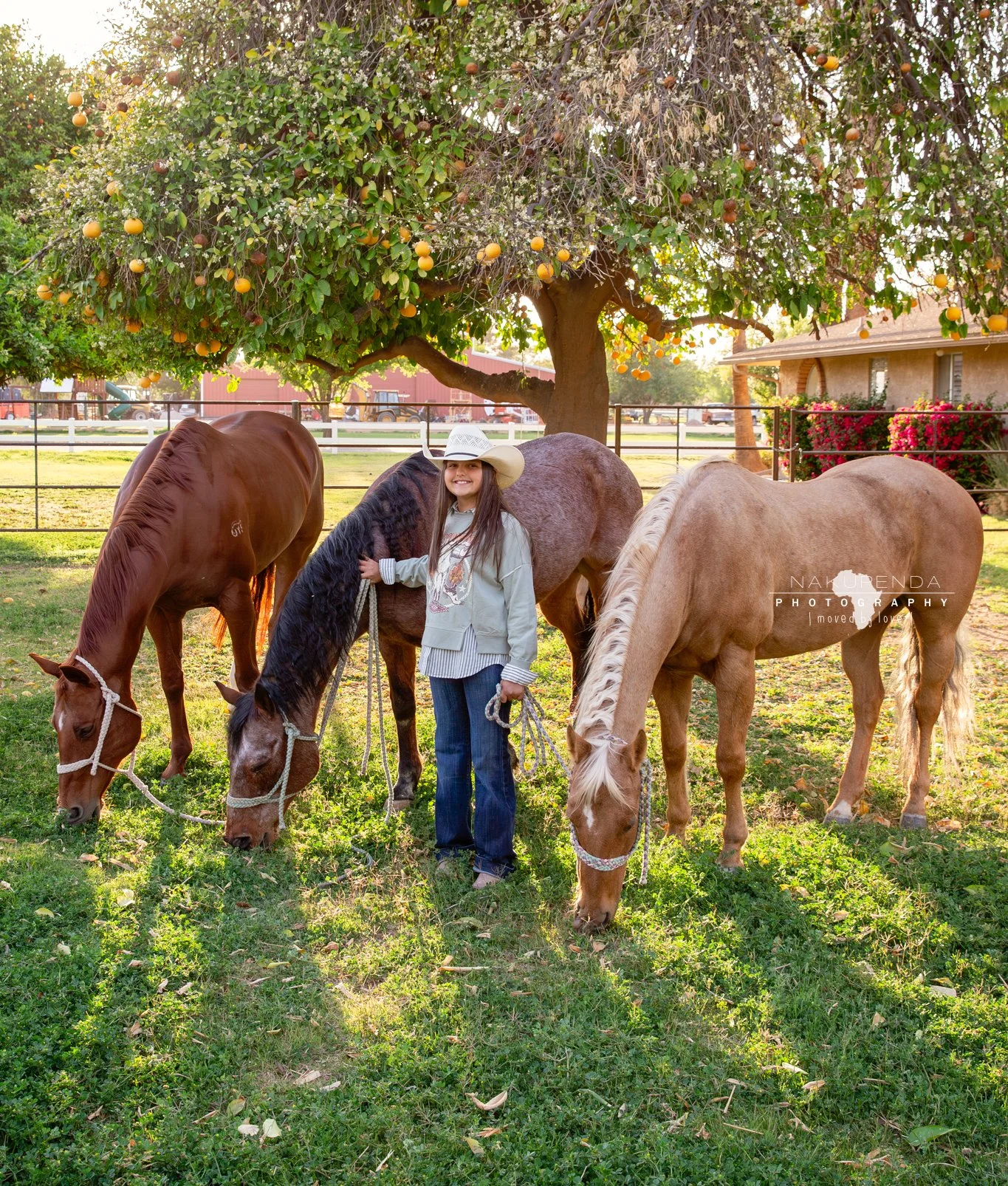 Ava and Her Horses – A Special Horse Portrait Session in Gilbert, Arizona