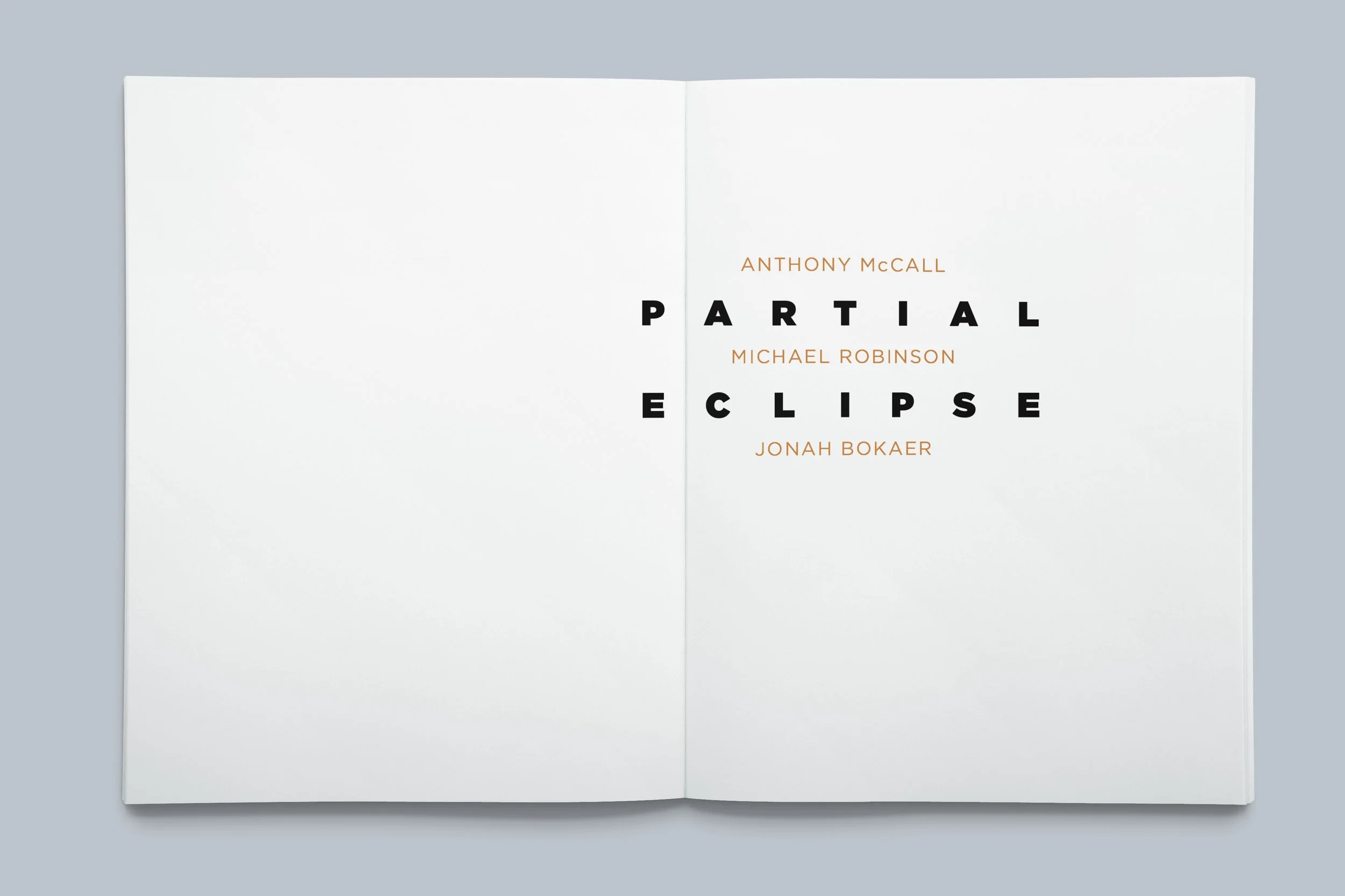 partial_eclipse_11.jpg