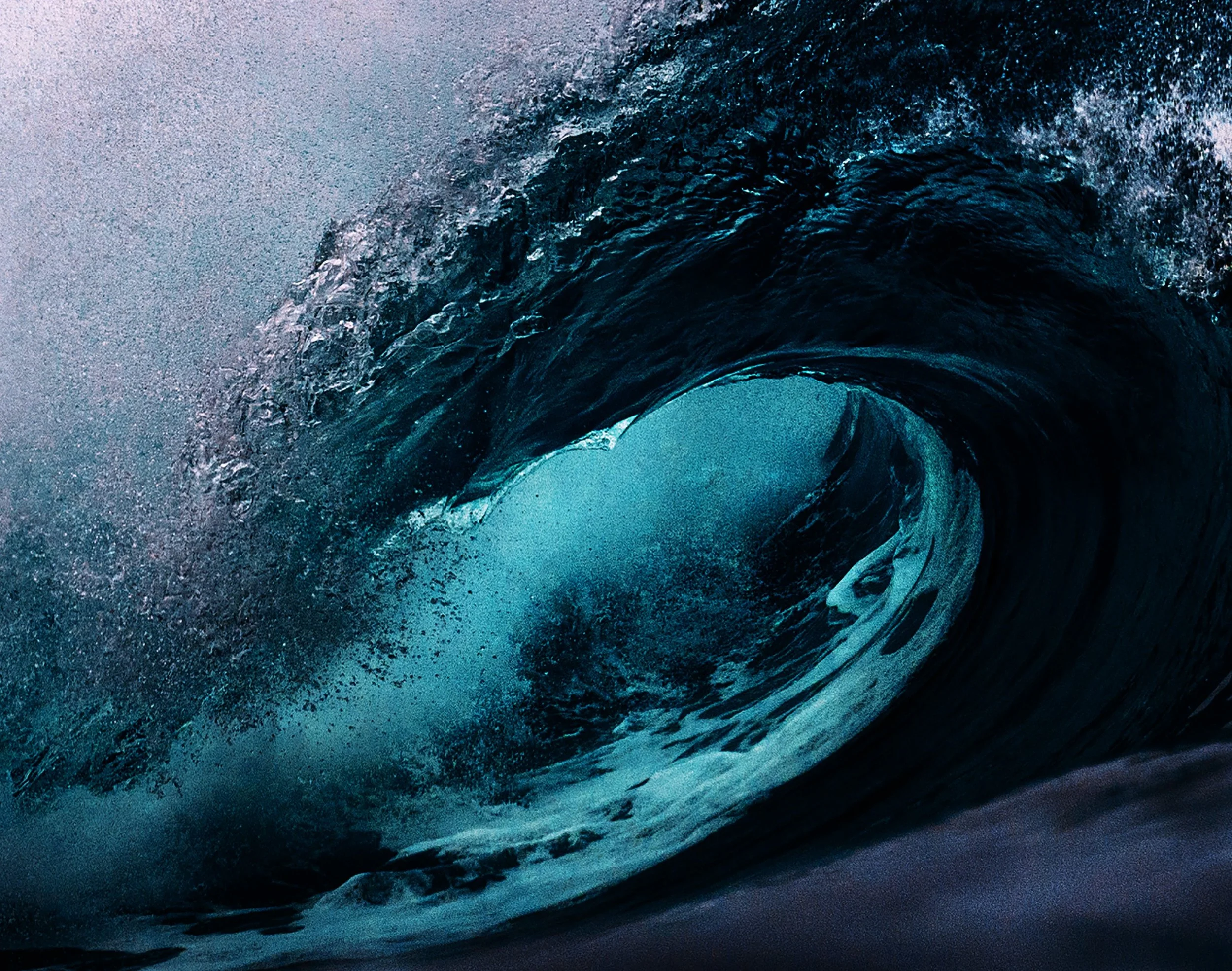The Ocean
