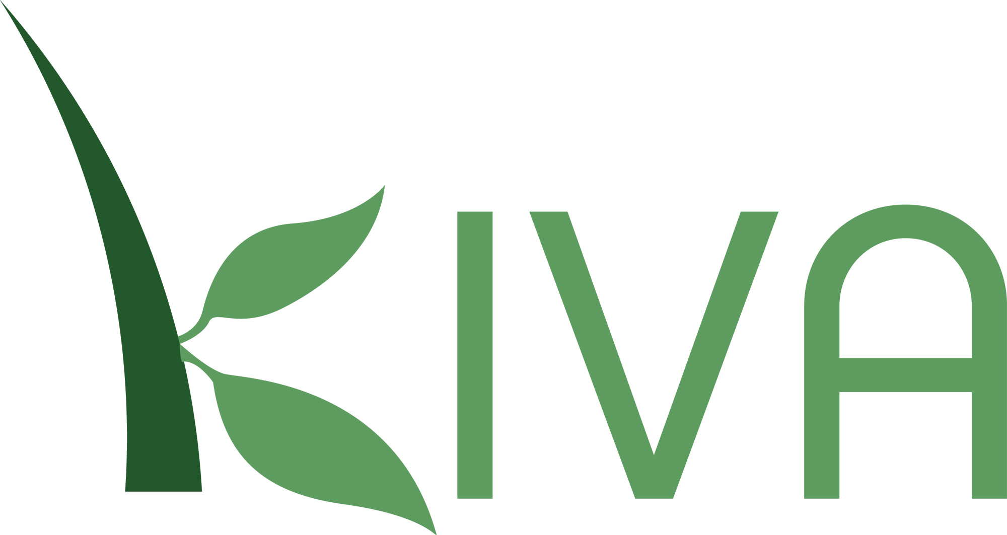 Kiva Marketplace Opens!  Sales, Sales, Sales...
