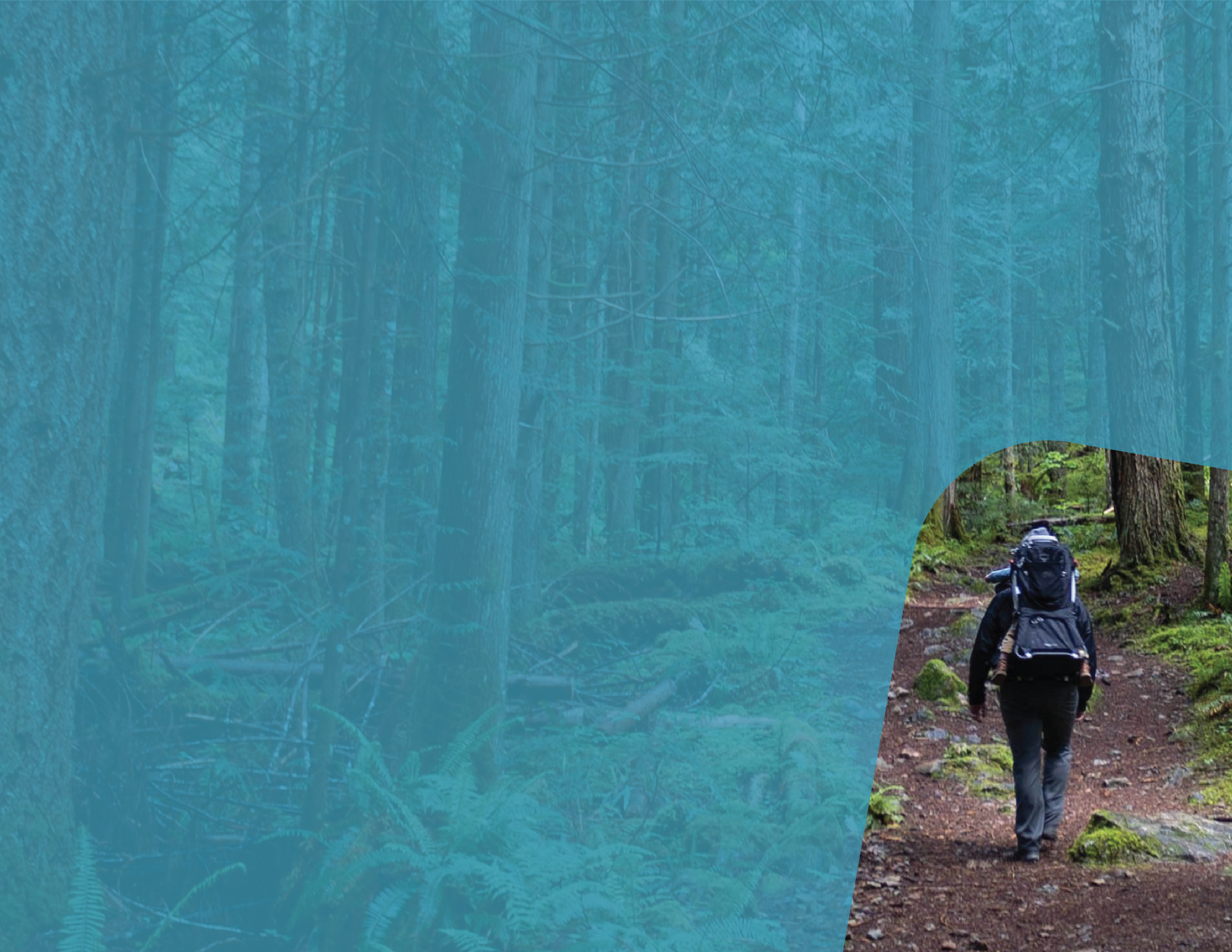 photo of a person hiking in Washington carrying a child on their back.