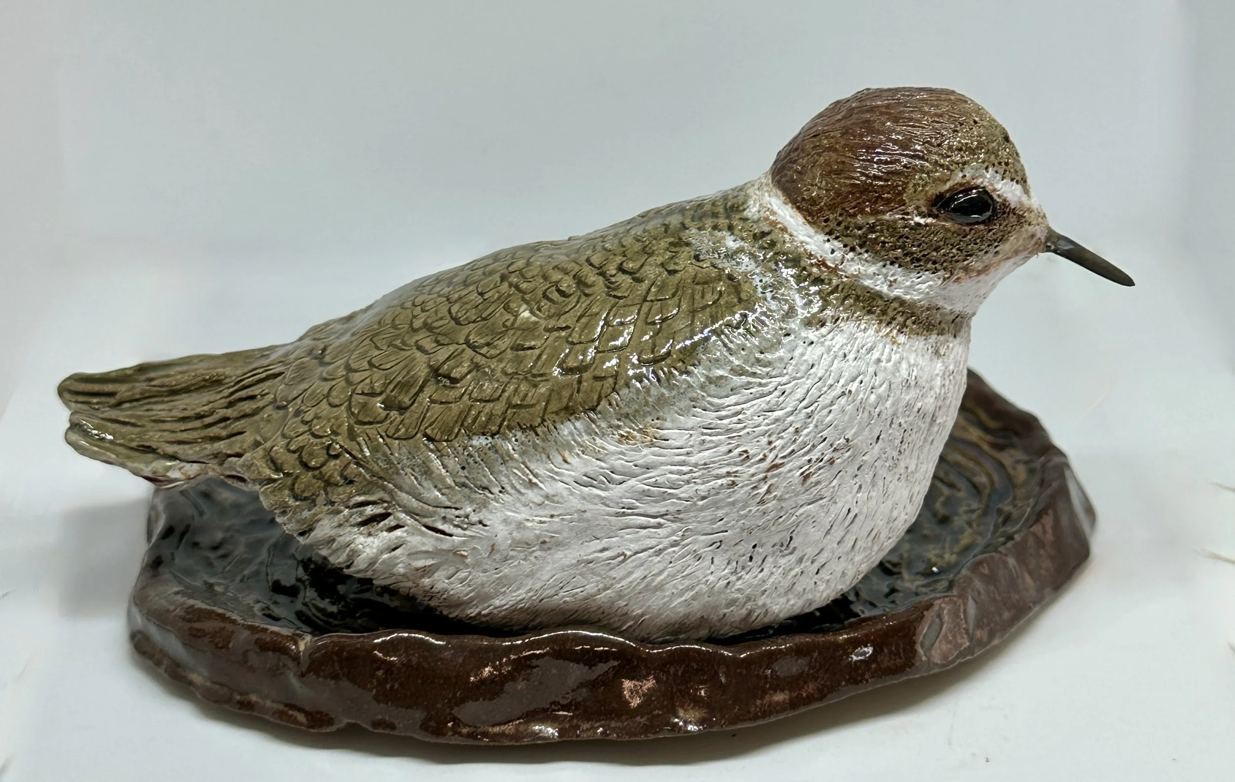 carved Snowy Plover