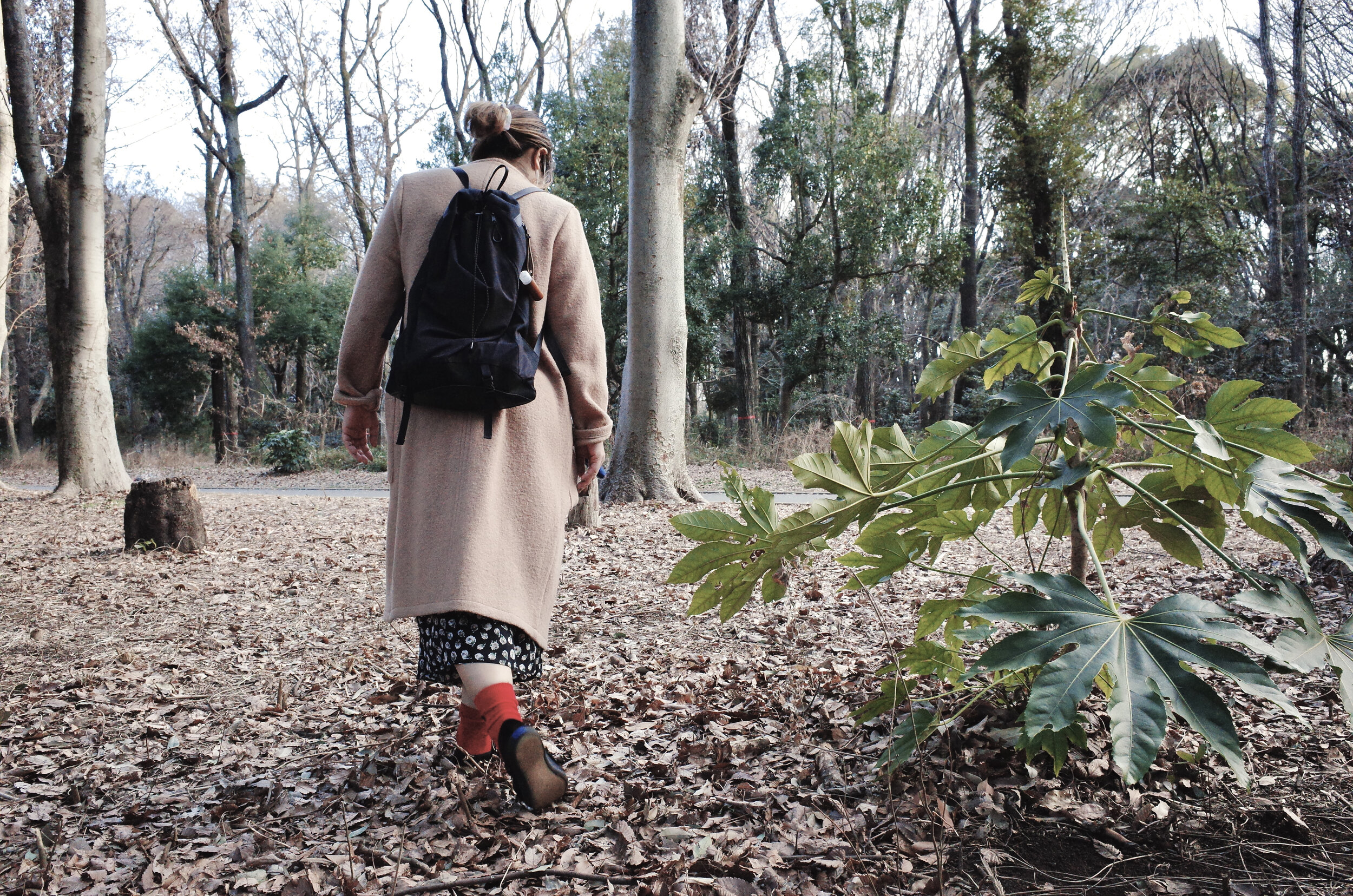 1.61 Soft Goods - Transfer Pack