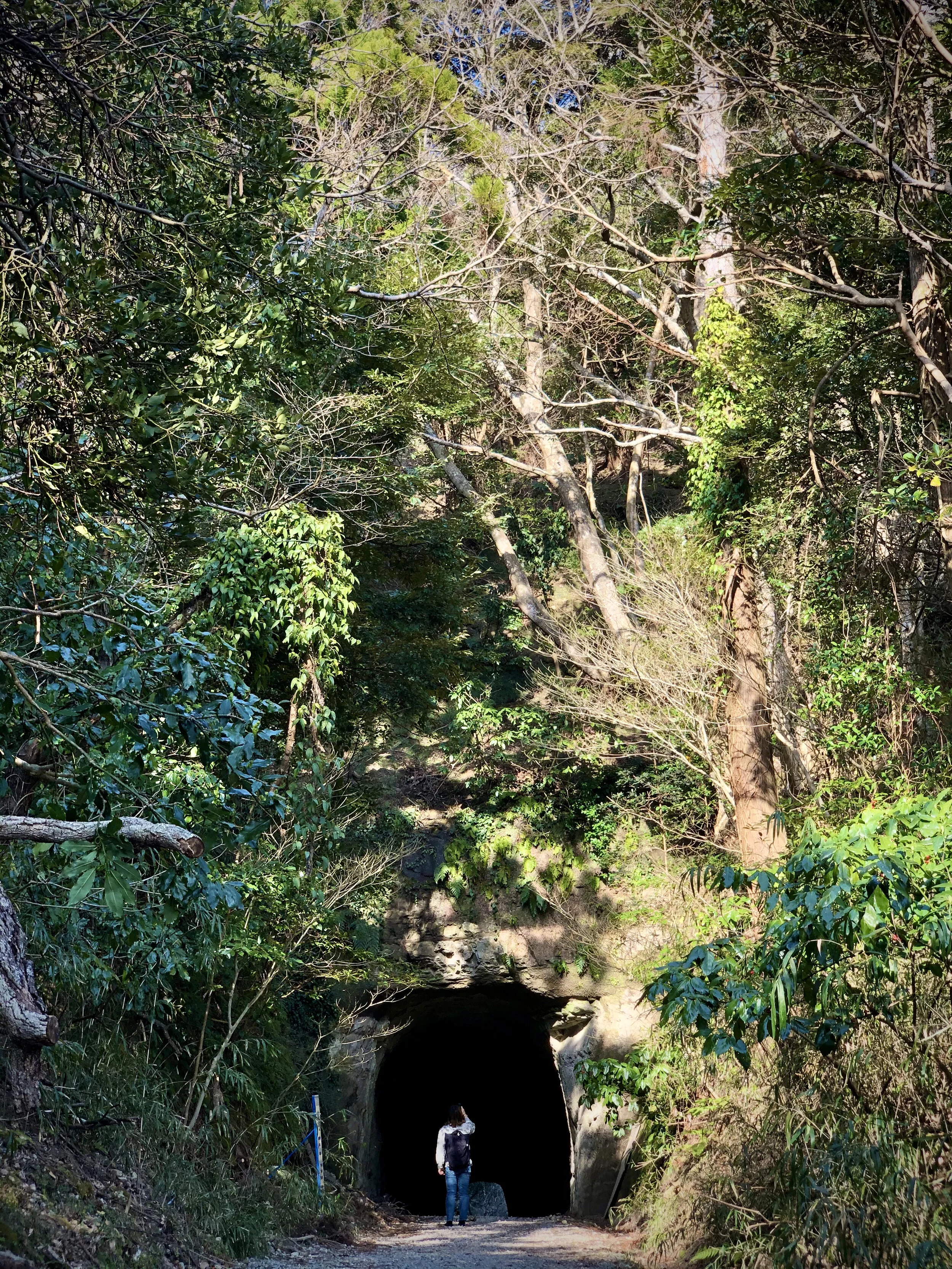 1.61 Soft Goods - Transfer Pack