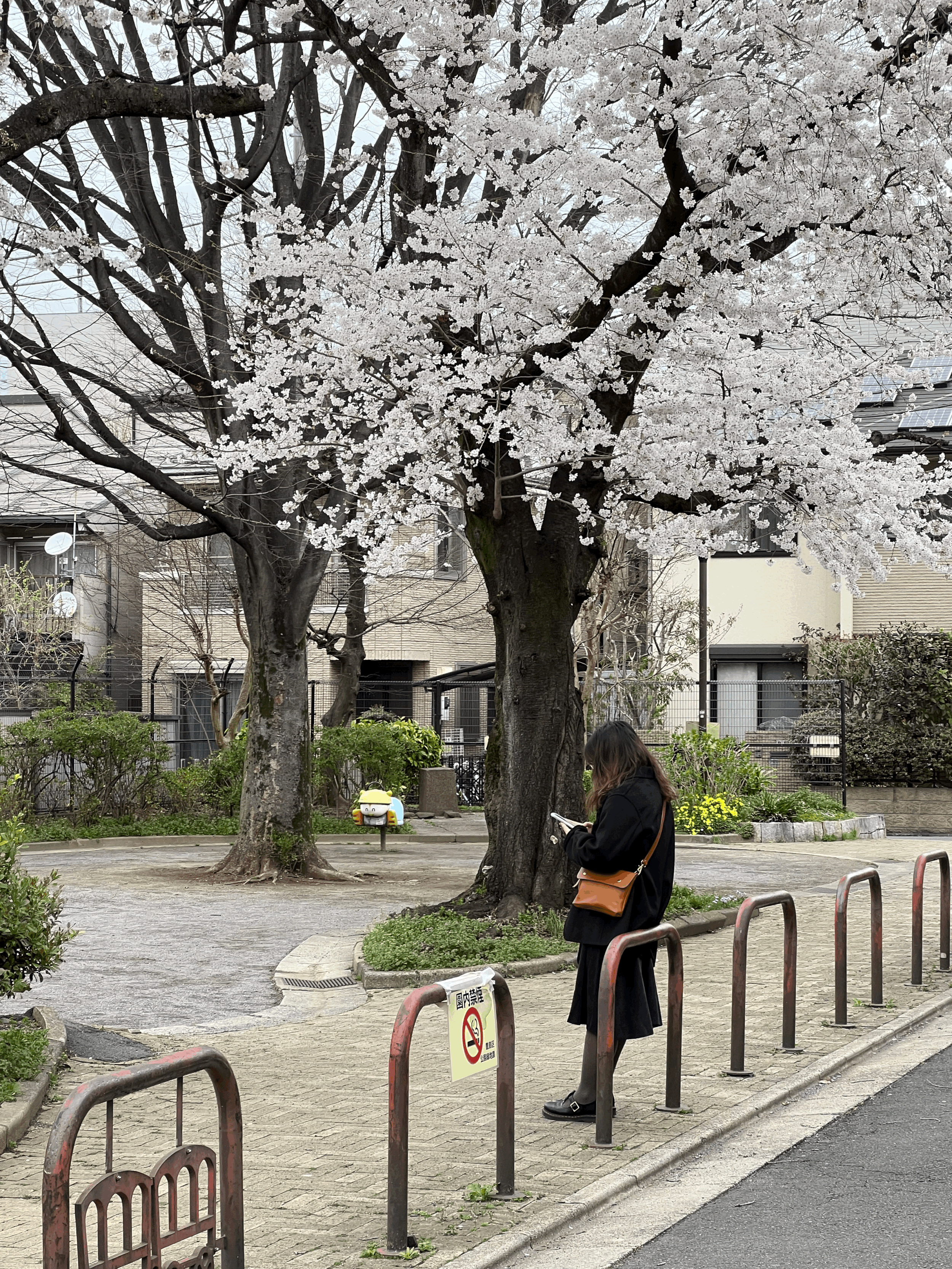 1.61 Soft Goods - Banker Satchel