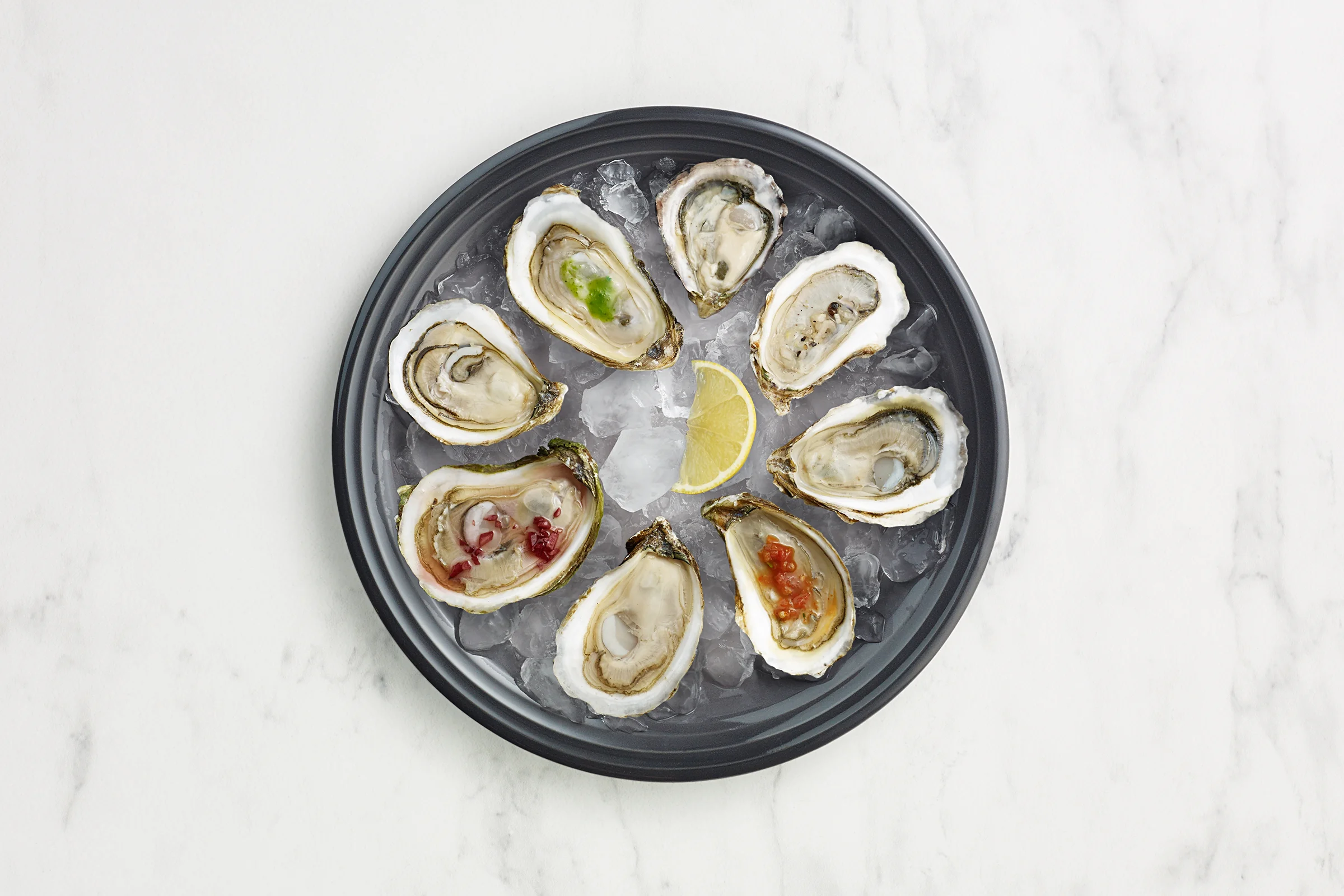 Oyster-01.jpg