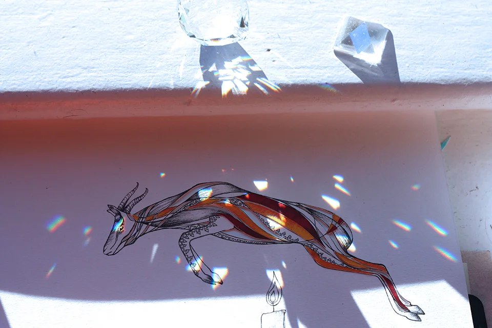 Clement_gazelle_prisms.jpg