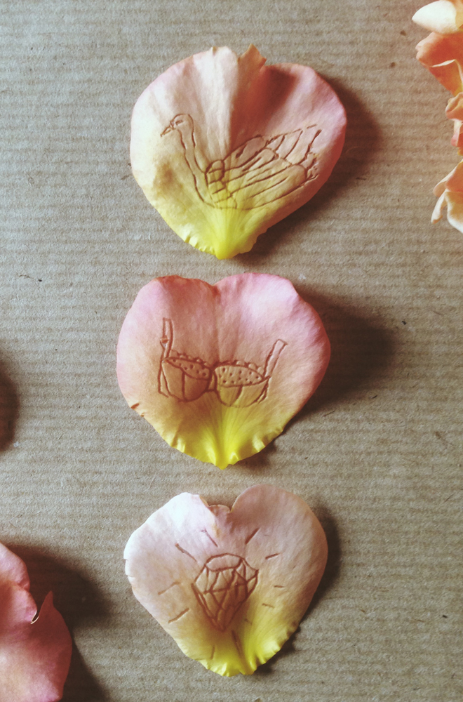 Might be fun to do this again with all the new flowers around! 