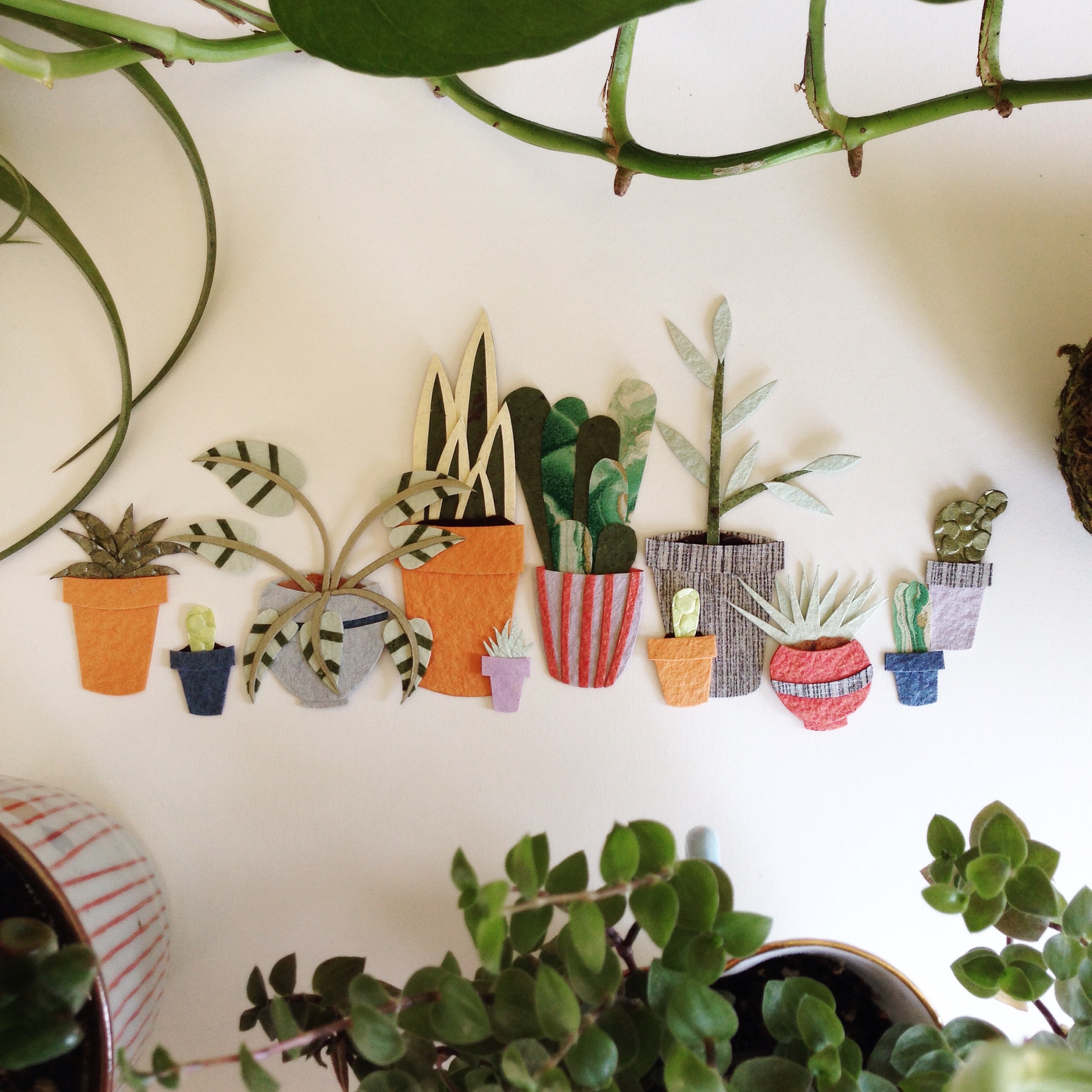 Planting my paper pot plant garden...