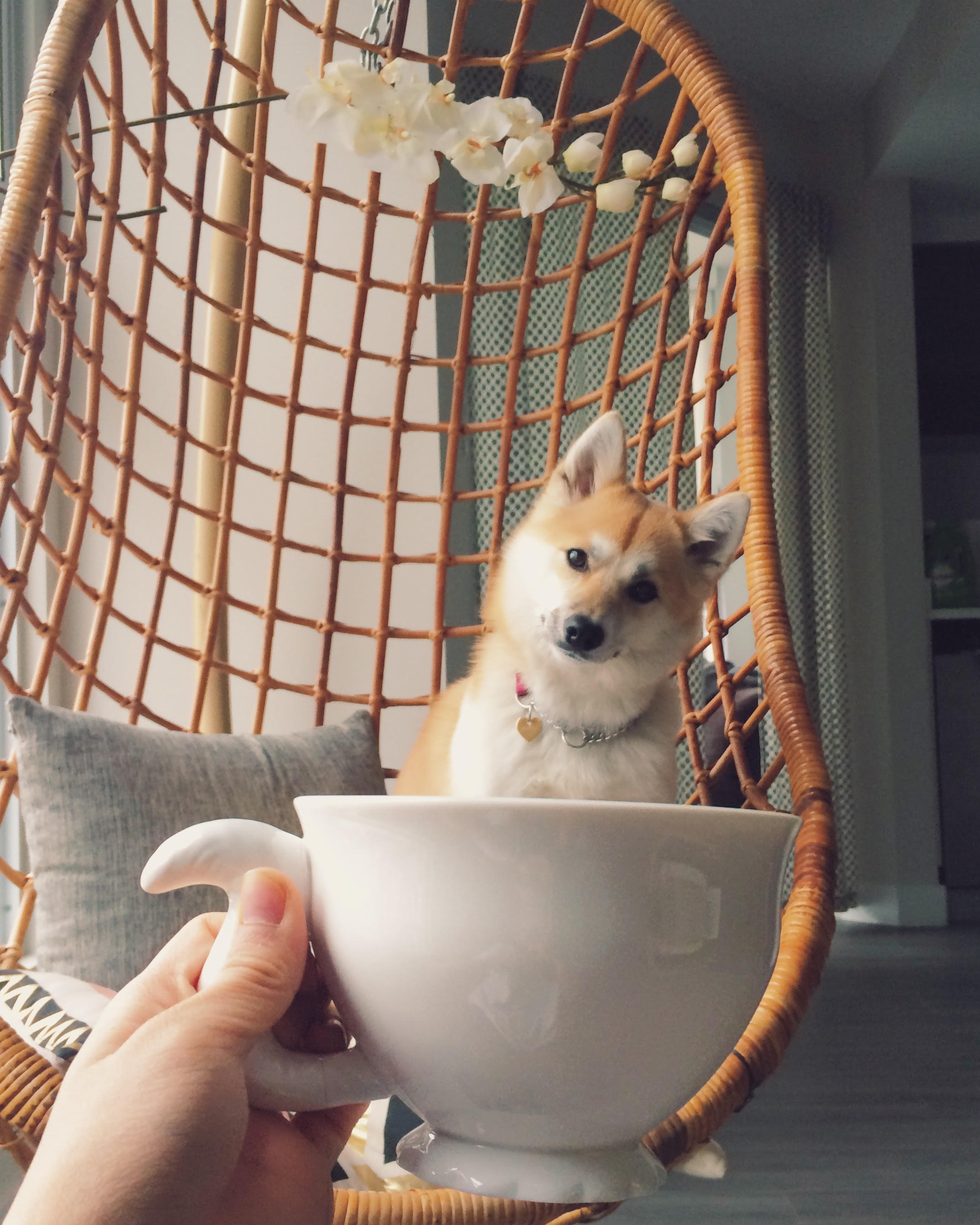 Mug of Margot! So cute :)