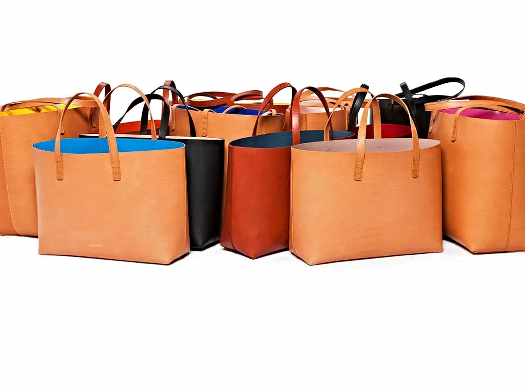 my 5 step method to caring for a mansur gavriel bag