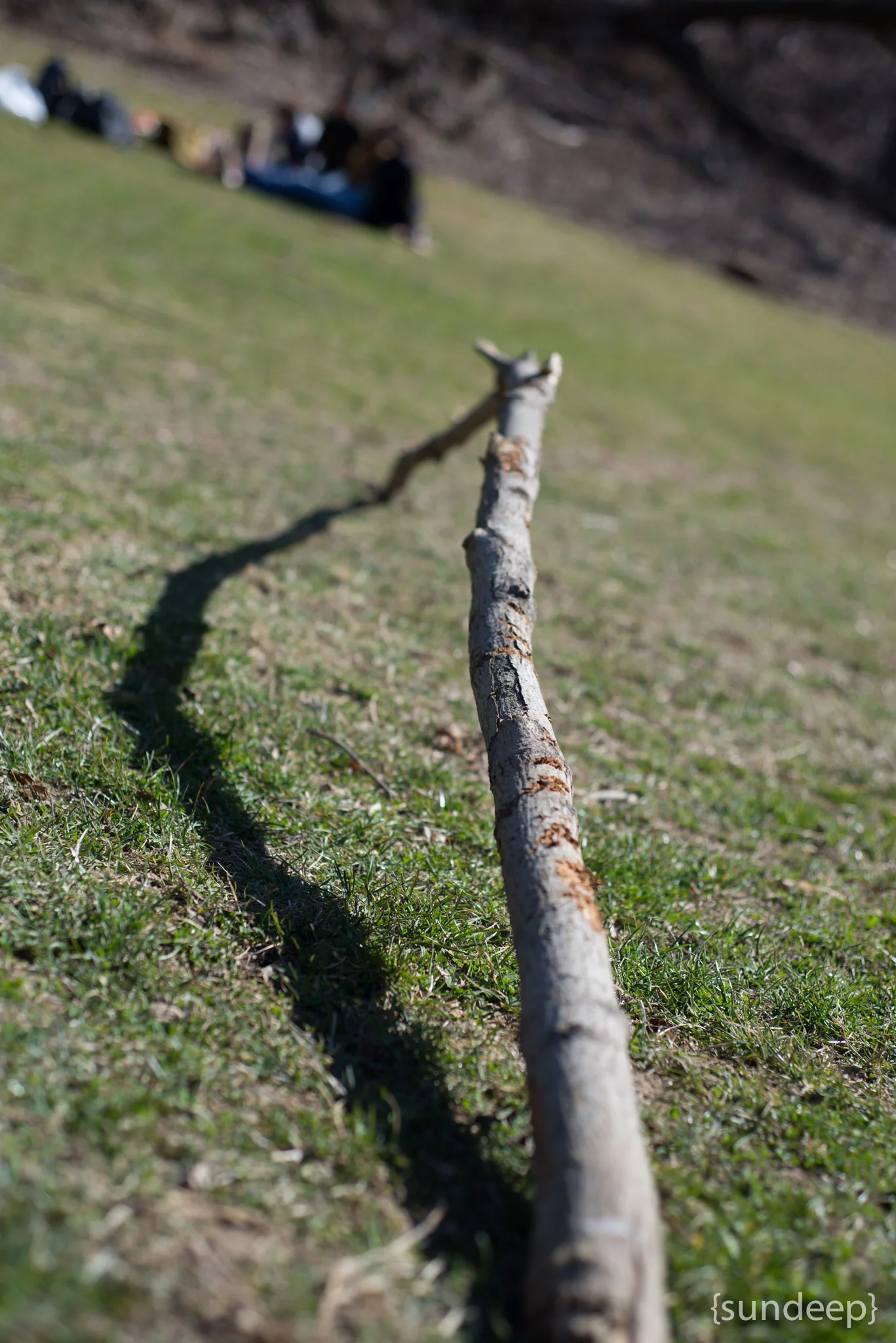 _DSC9134.jpg