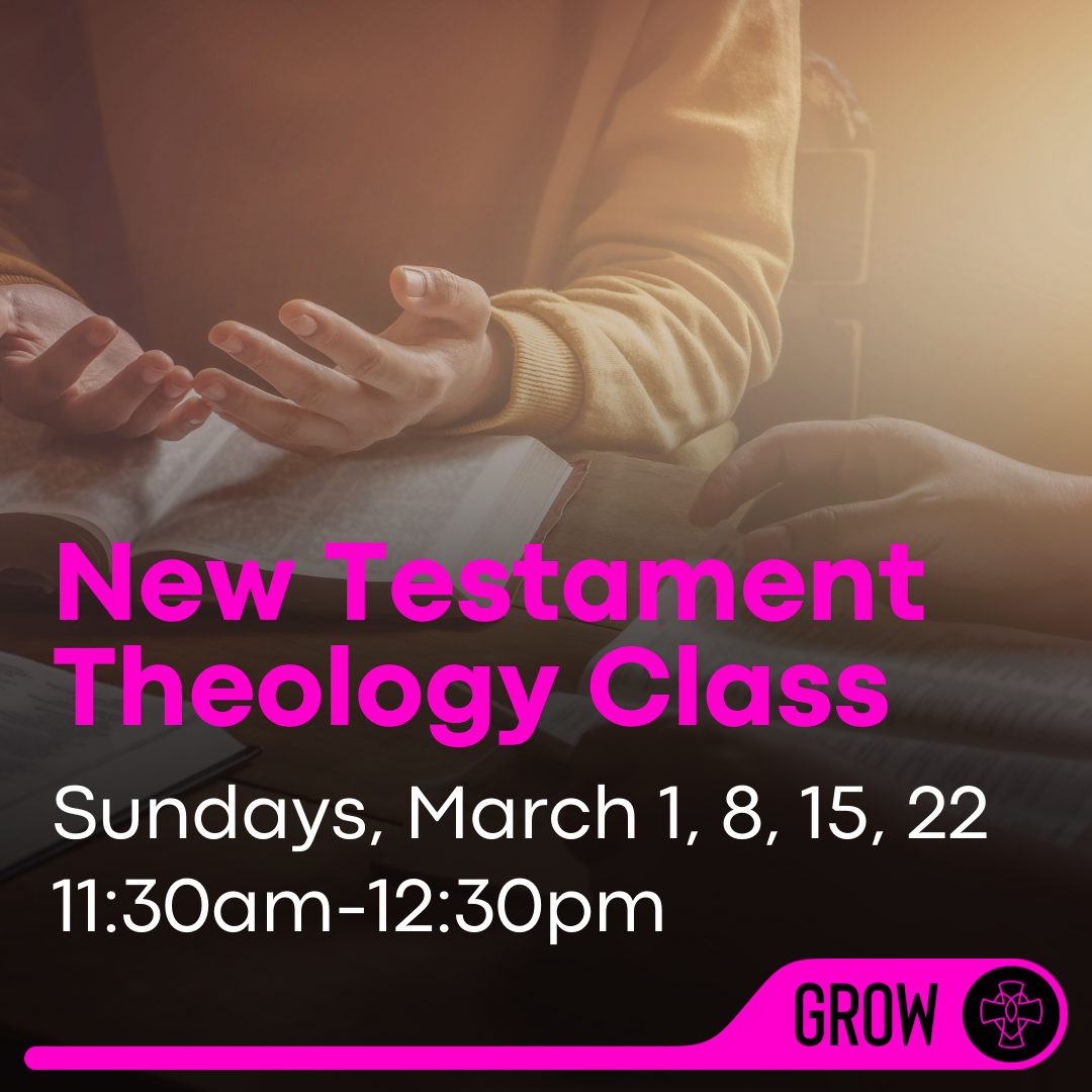 New Testament Theology Class