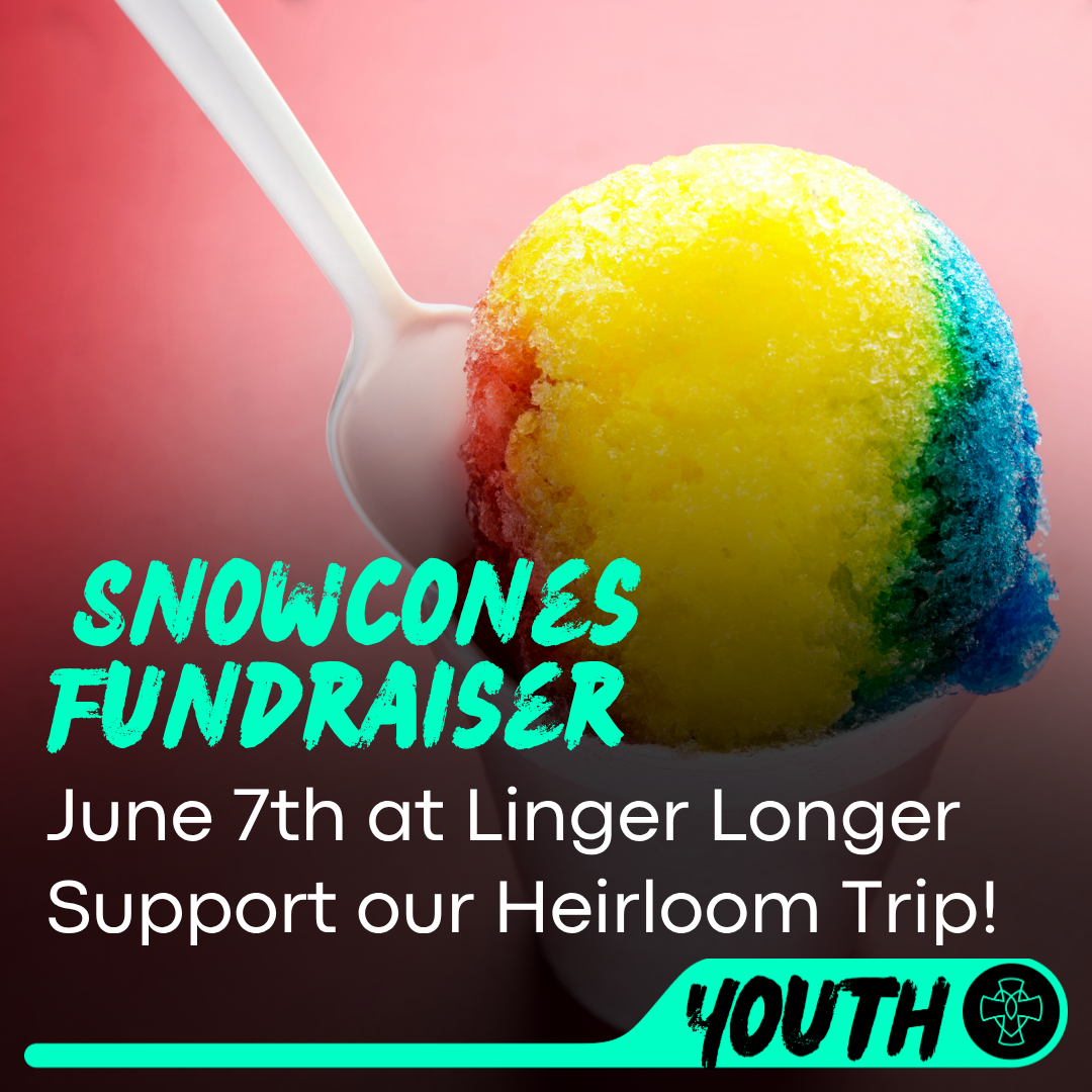 Snowcones Fundraiser