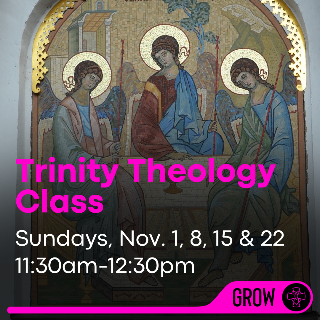 Trinity Theology Class