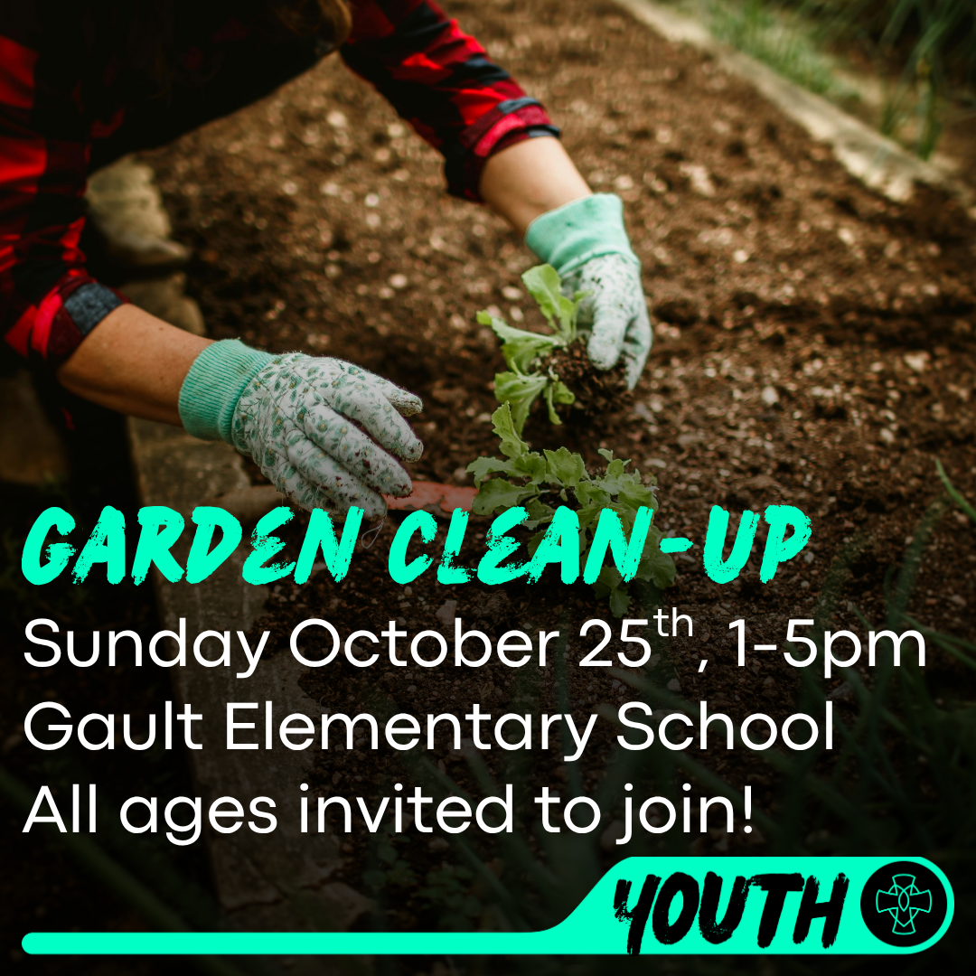 Garden Clean-Up
