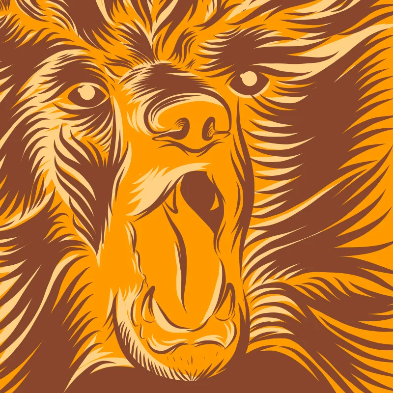 bear-beast-cover.jpg