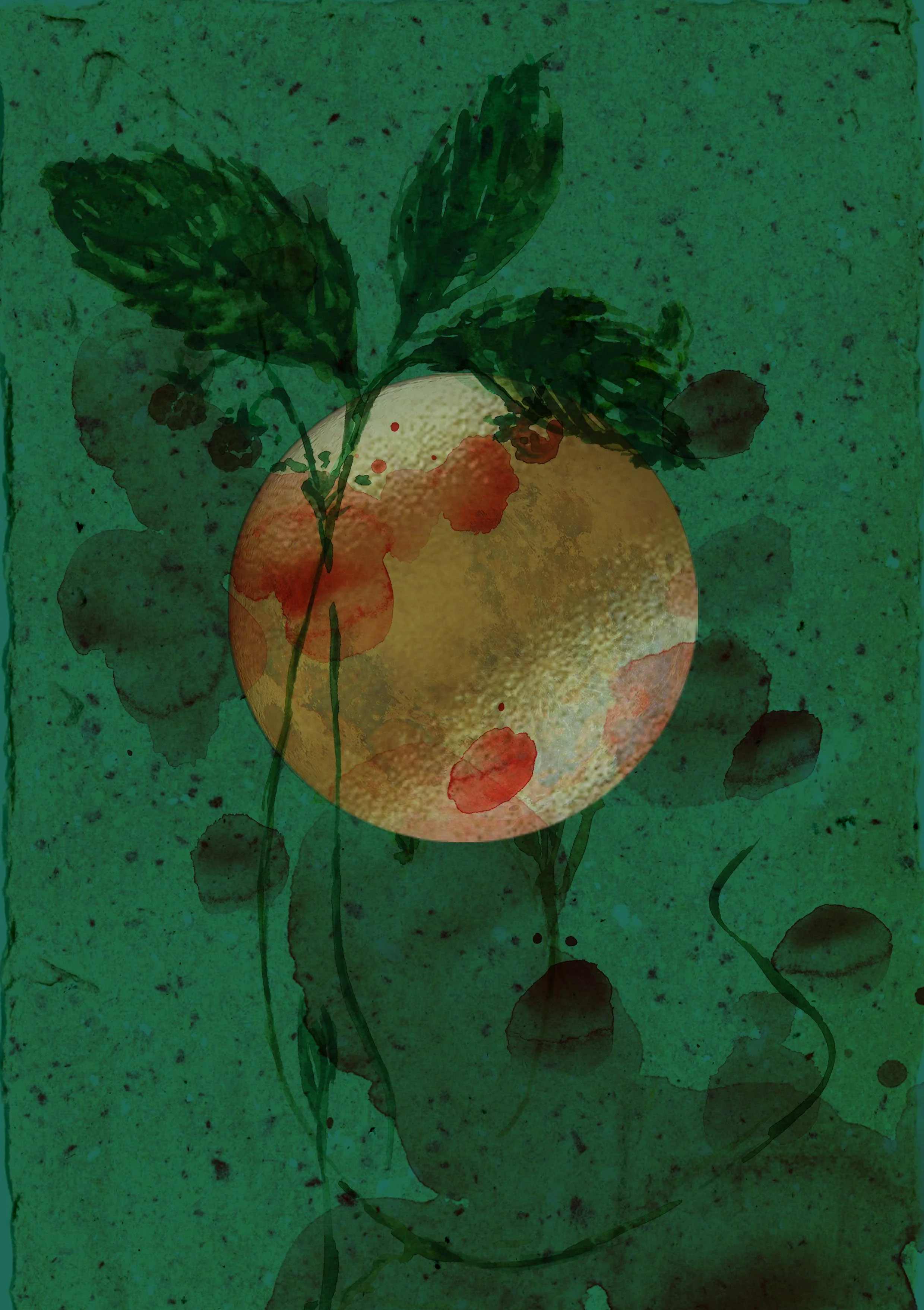 Strawberry Full Moon