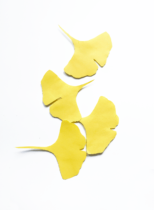 QI -  The Taoist Principle of Life Force 