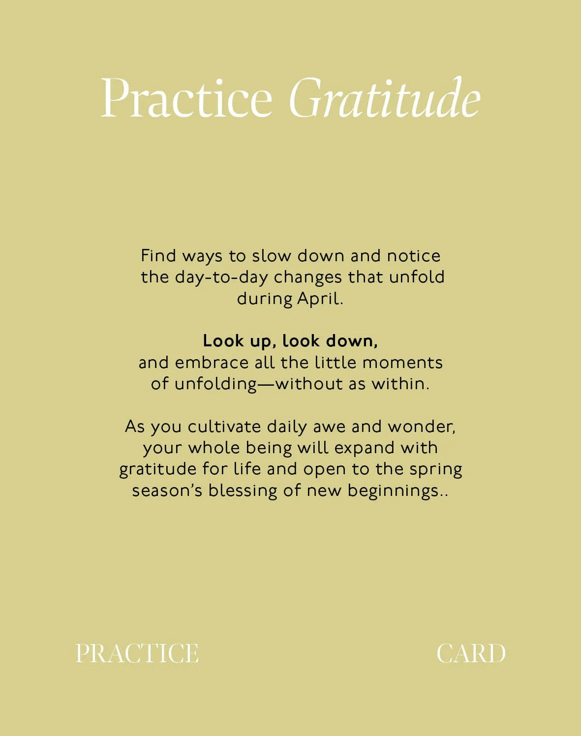 SEMINE-Practice-Card-Gratitude2.jpg